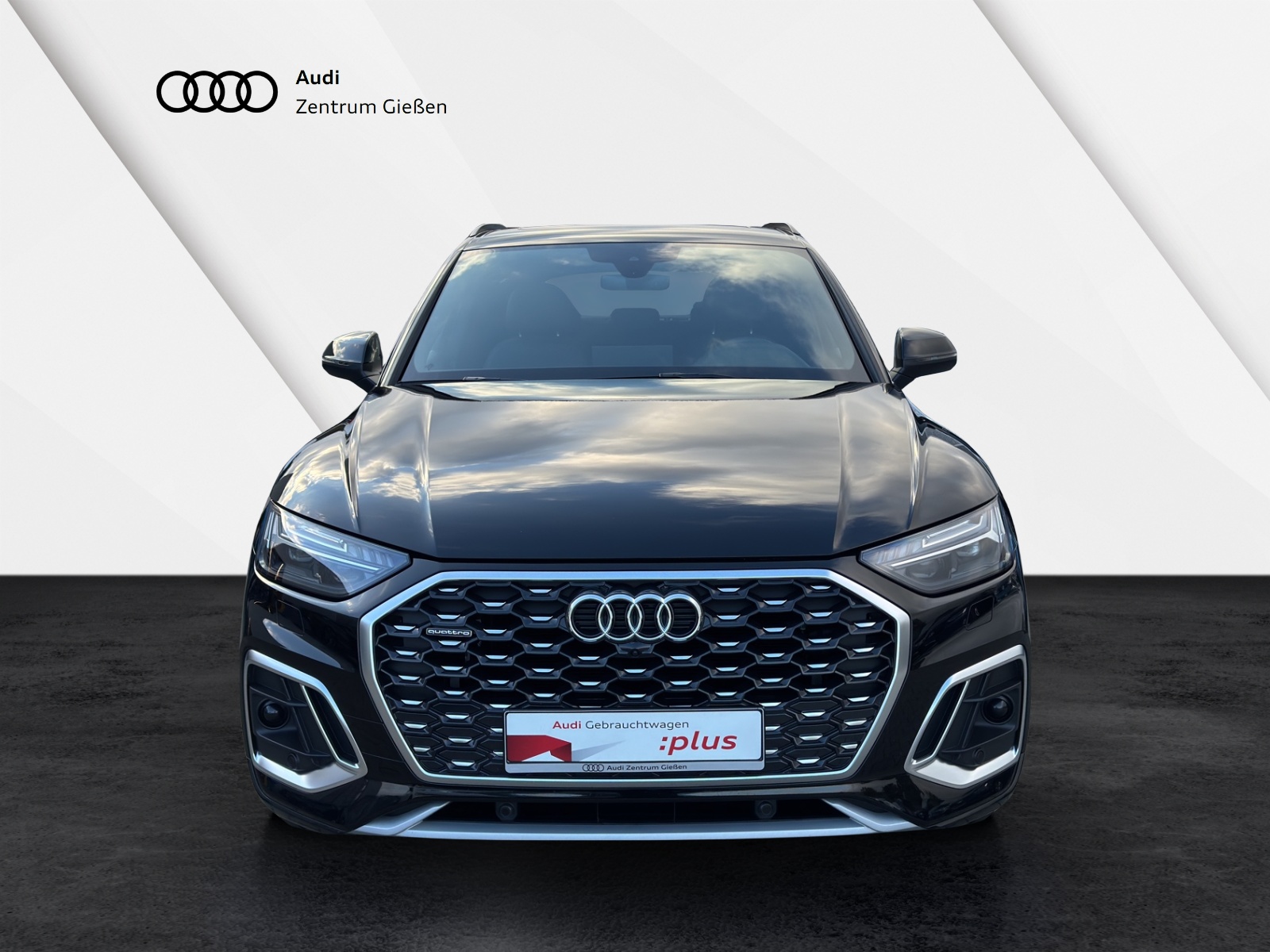 Q5 Sportback 40 TDI quattro S line MATRIX PANO AHK 360°Kamera