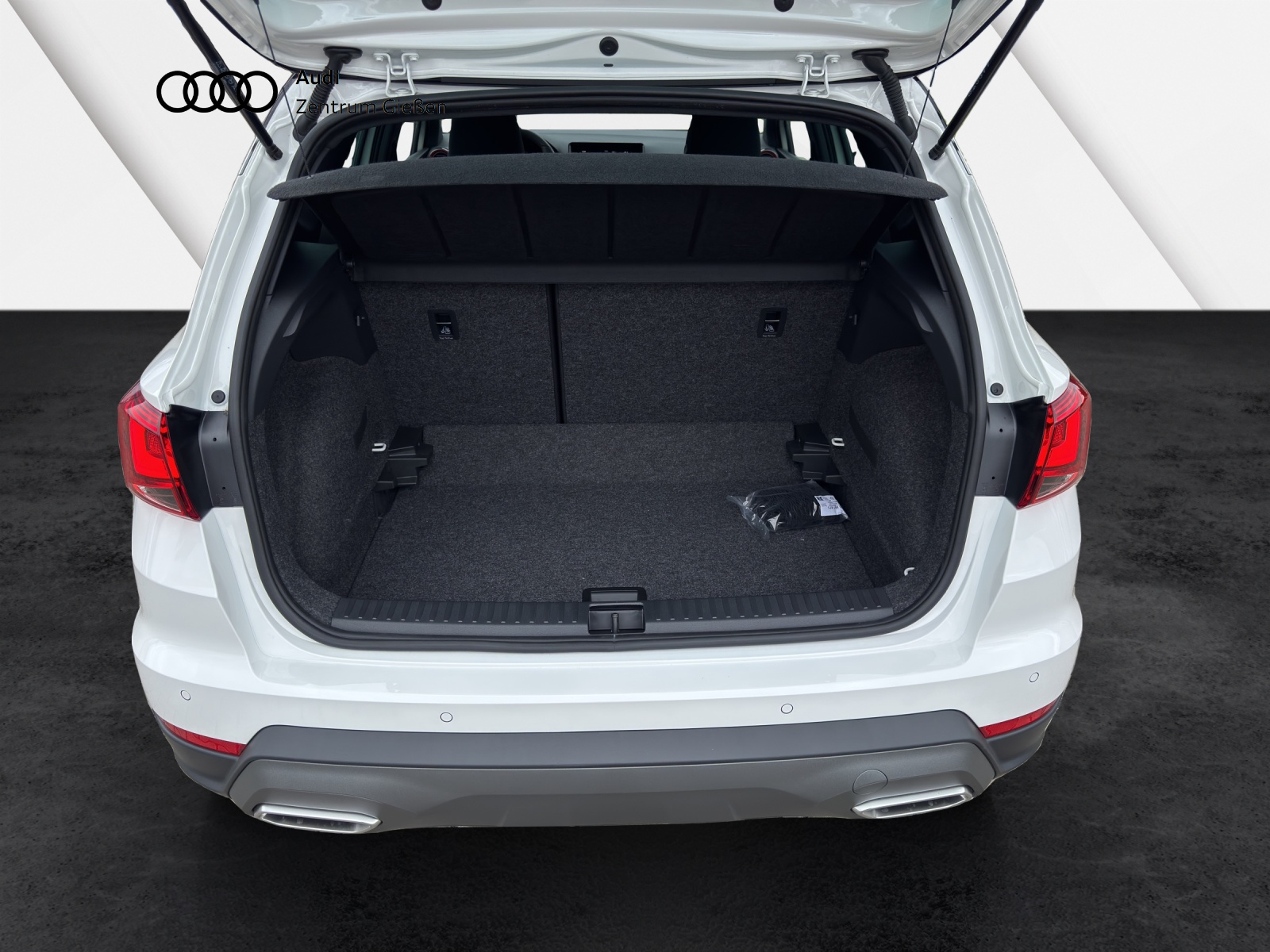 Arona 1.0 TSI DSG FR LED ACC Kamera Vision Plus & Sentinel