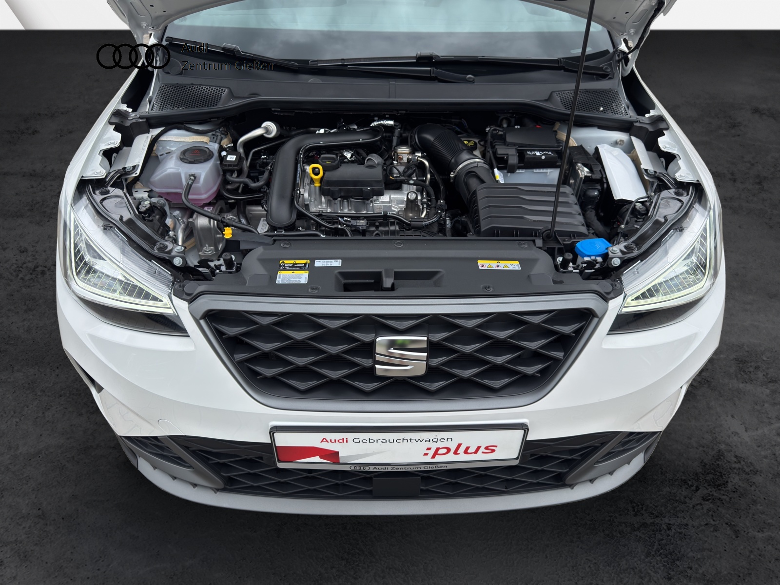 Arona 1.0 TSI DSG FR LED ACC Kamera Vision Plus & Sentinel
