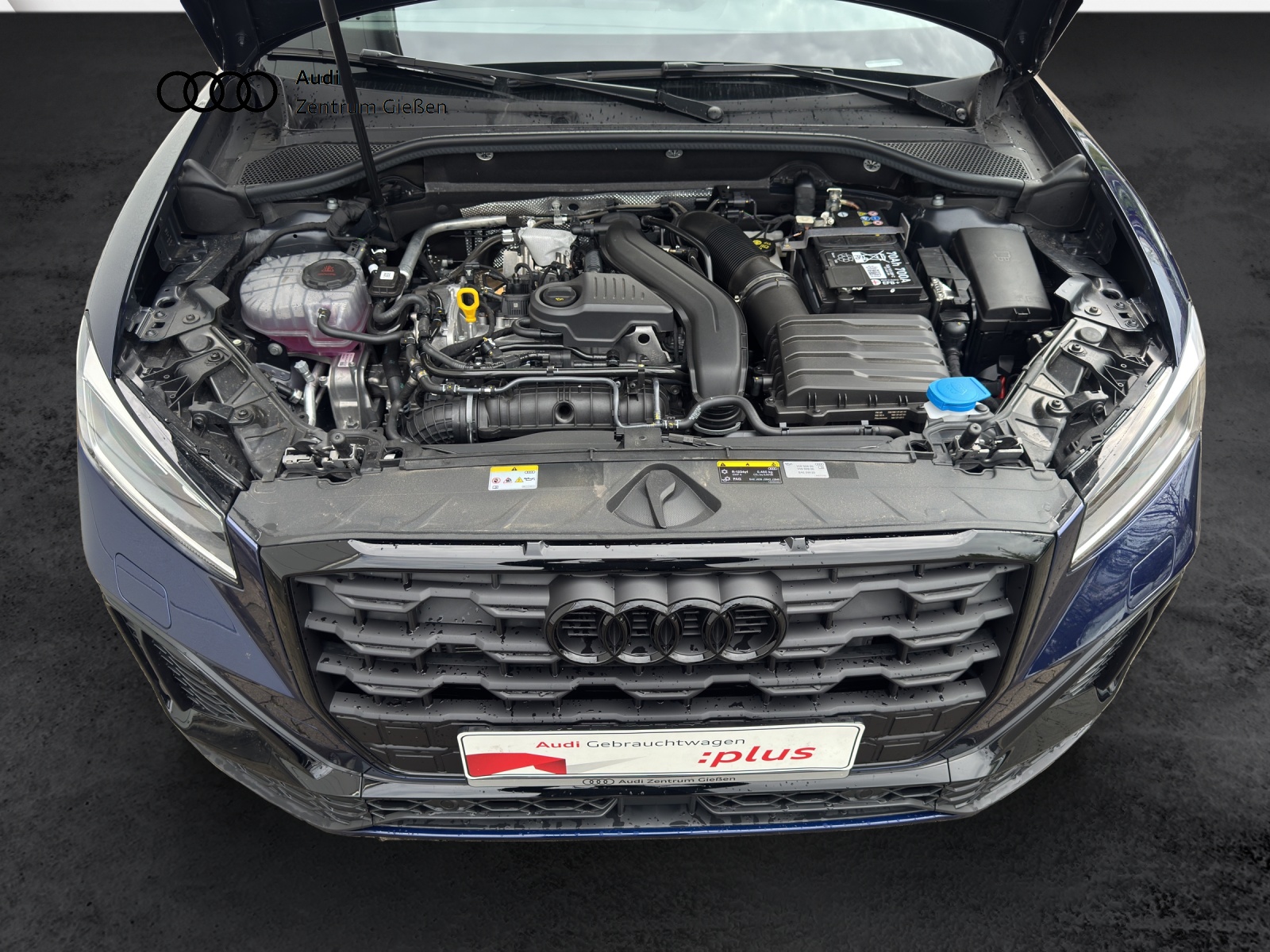 Q2 35 TFSI S tronic S line Black AHK Assist Parken Navi