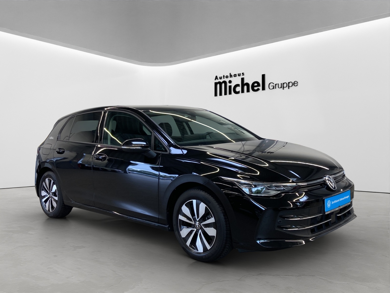 Golf 8 eTSI DSG Goal IQ-Light Navi AHK Kamera TravelAssist