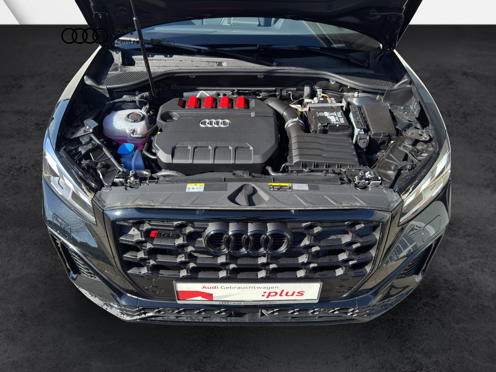 SQ2 2.0 TFSI quattro Black AHK SONOS Kamera Navi
