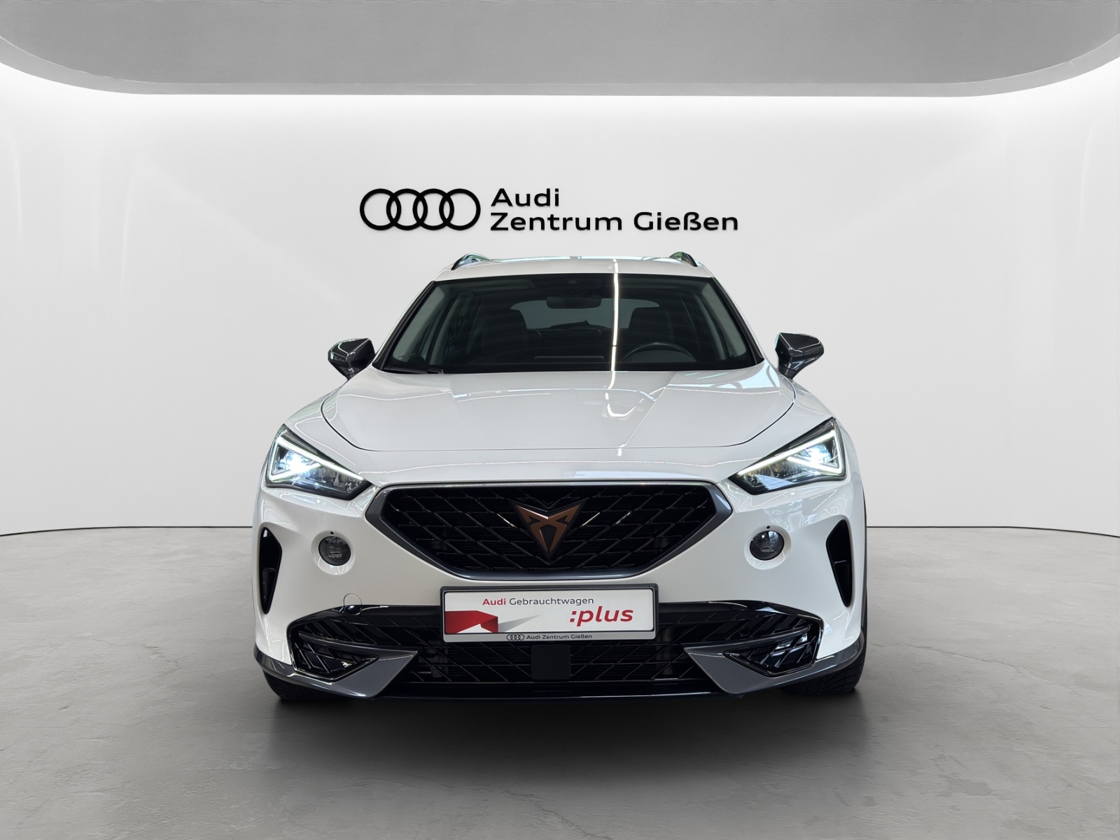 Formentor 2.0 TSI DSG 4Drive AHK ACC LED Navi