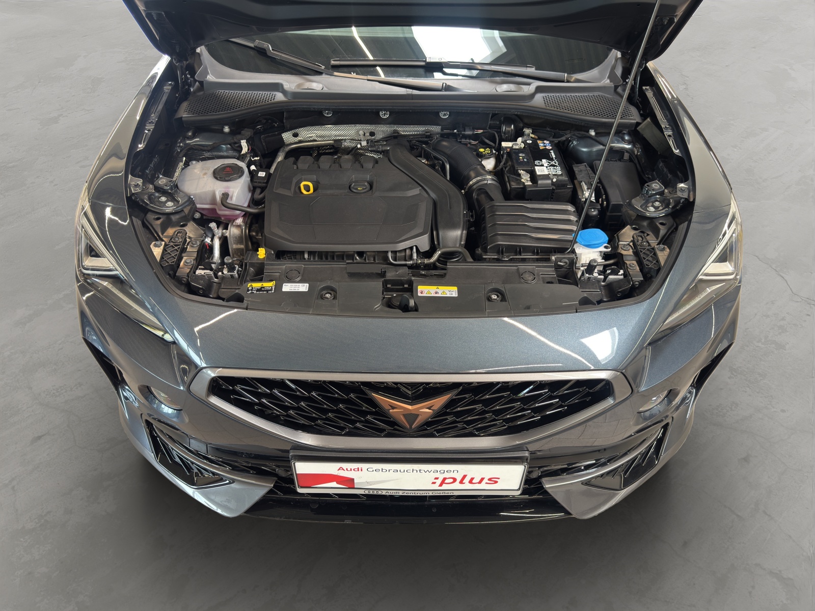 Formentor 1.5 TSI Basis LED Navi Kamera