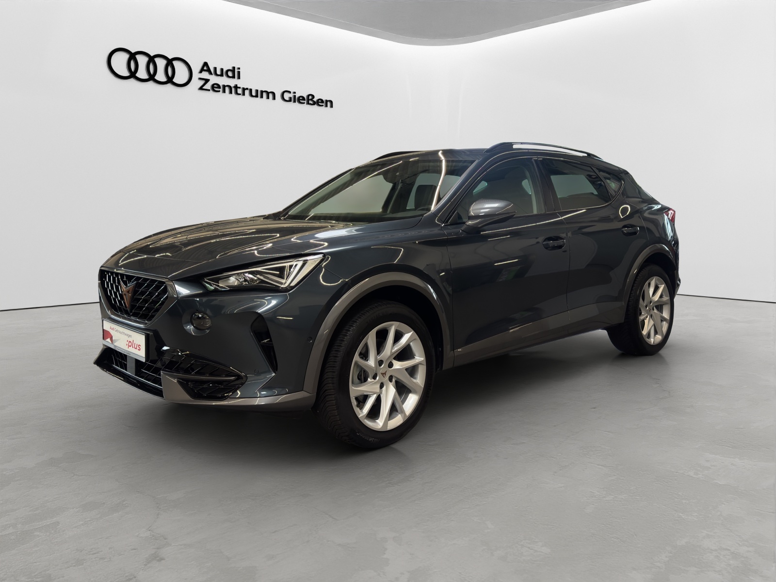 Formentor 1.5 TSI Basis LED Navi Kamera