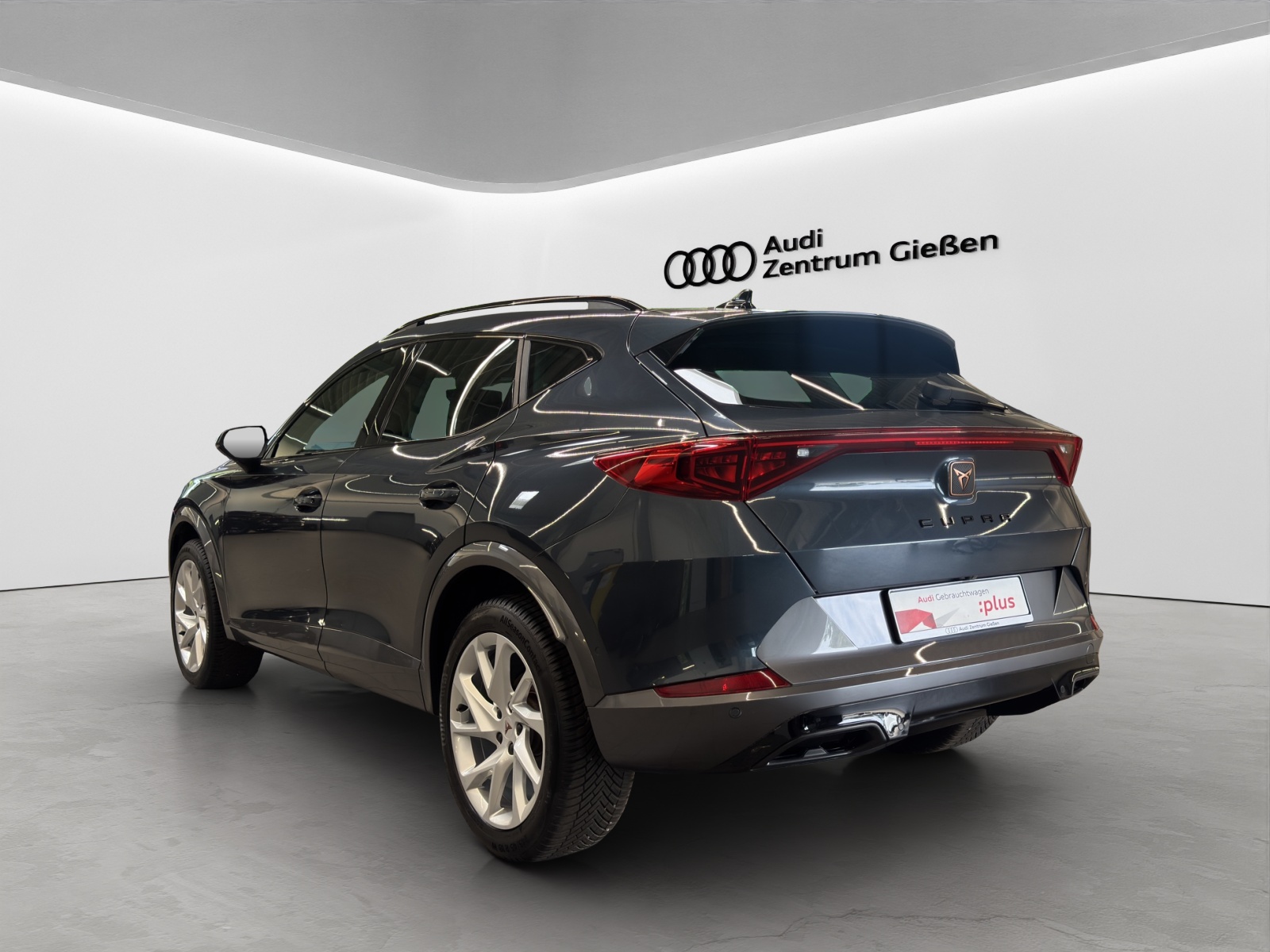 Formentor 1.5 TSI Basis LED Navi Kamera