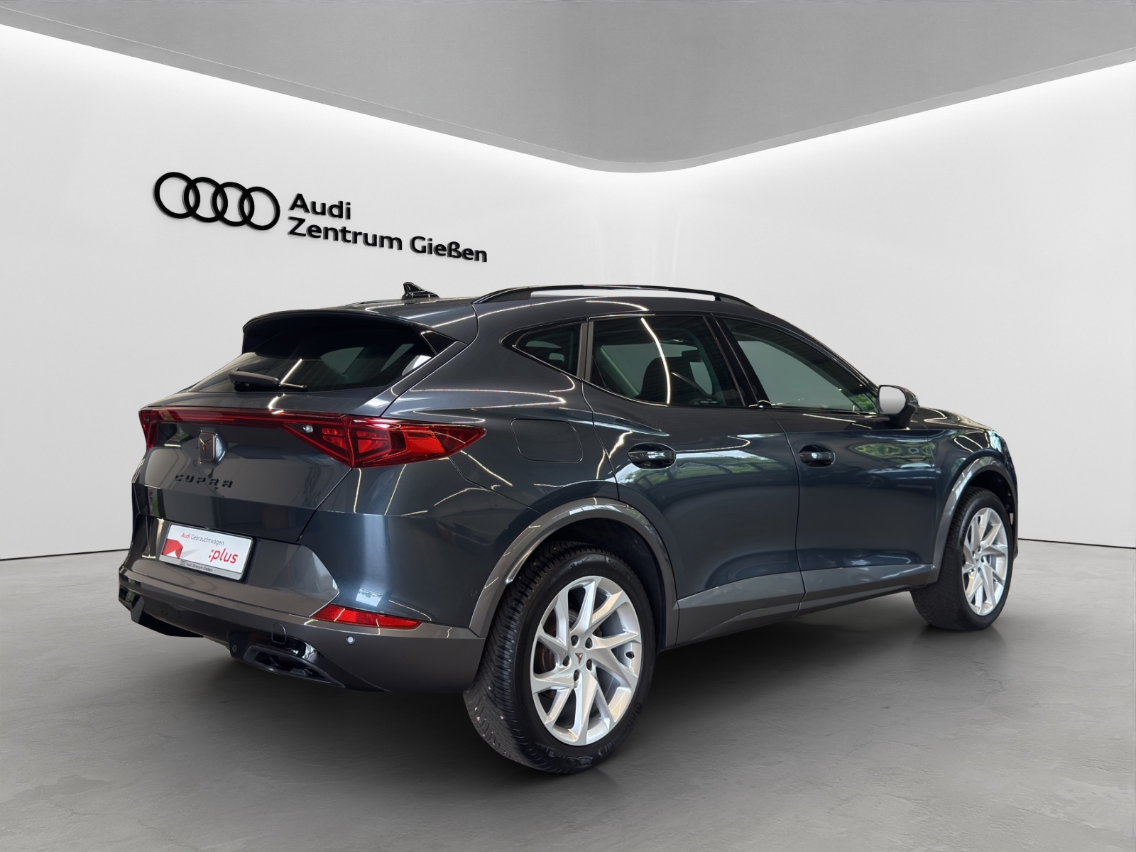 Formentor 1.5 TSI Basis LED Navi Kamera