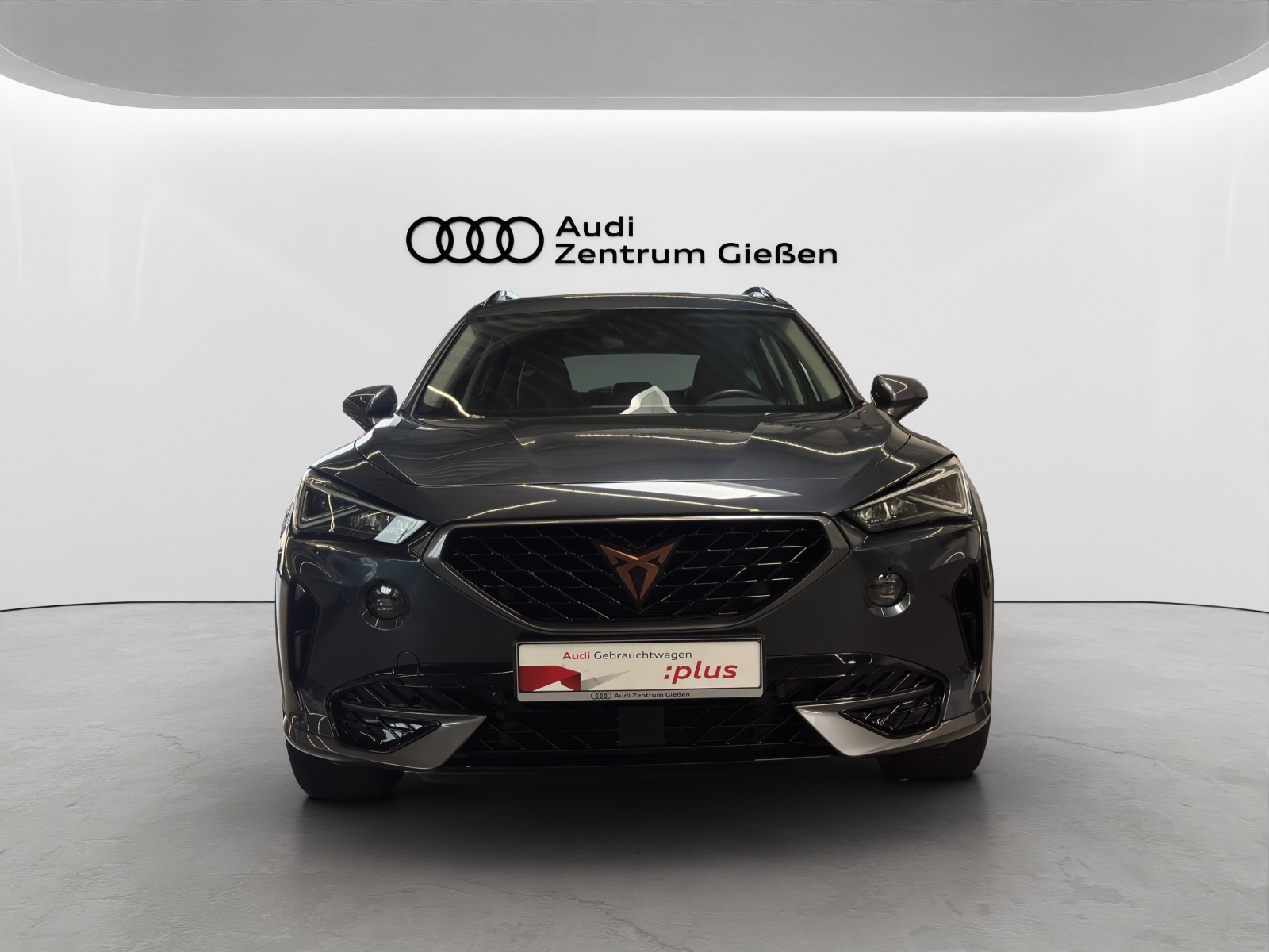 Formentor 1.5 TSI Basis LED Navi Kamera