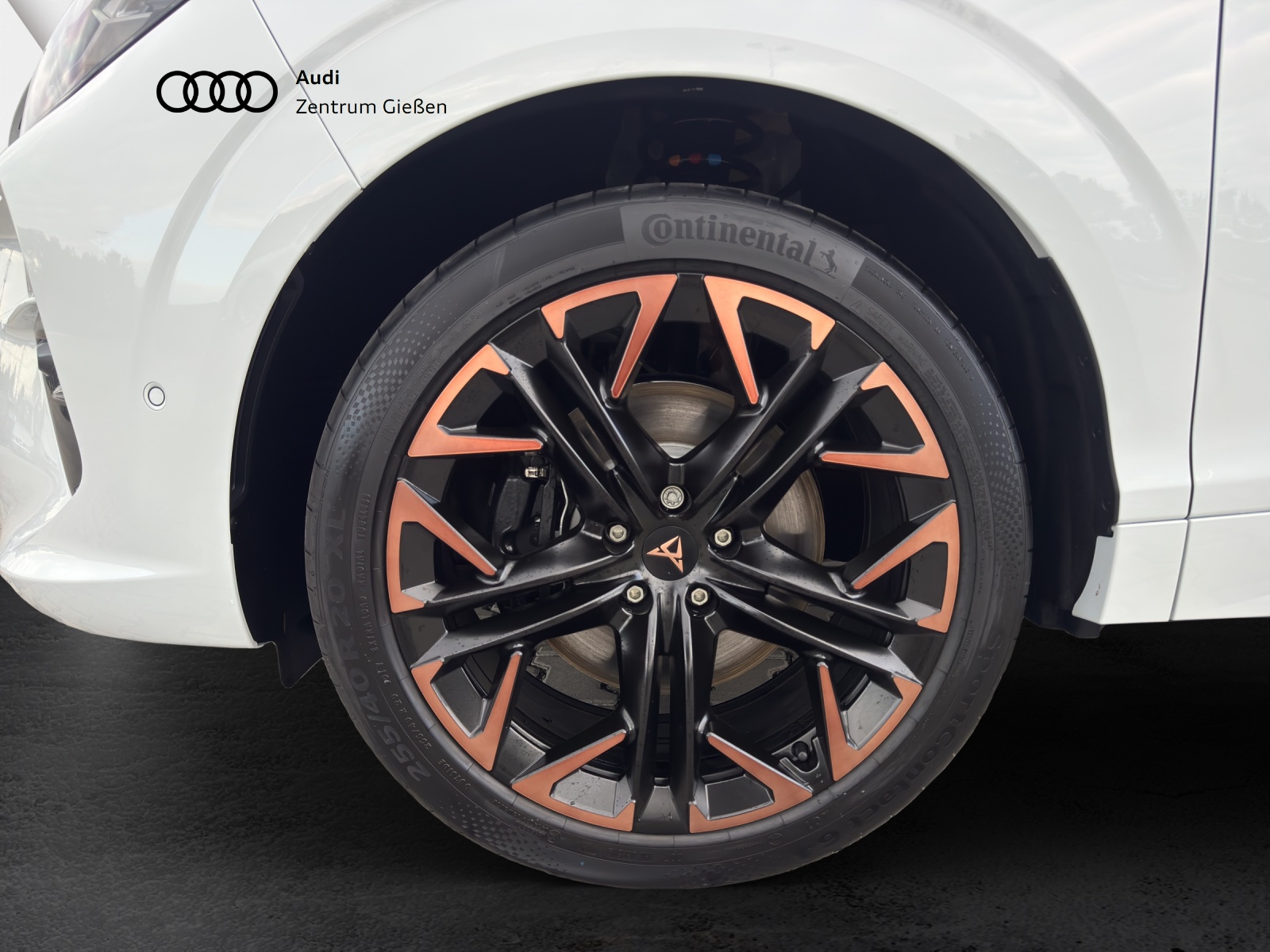 Terramar 2.0 TSI 4Drive VZ HuD PANO SennheiserMatrix-LED