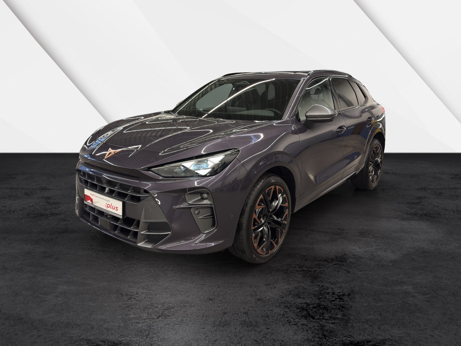 Terramar 2.0 TSI 4Drive VZ HuD MATRIX PANO ACC DCC