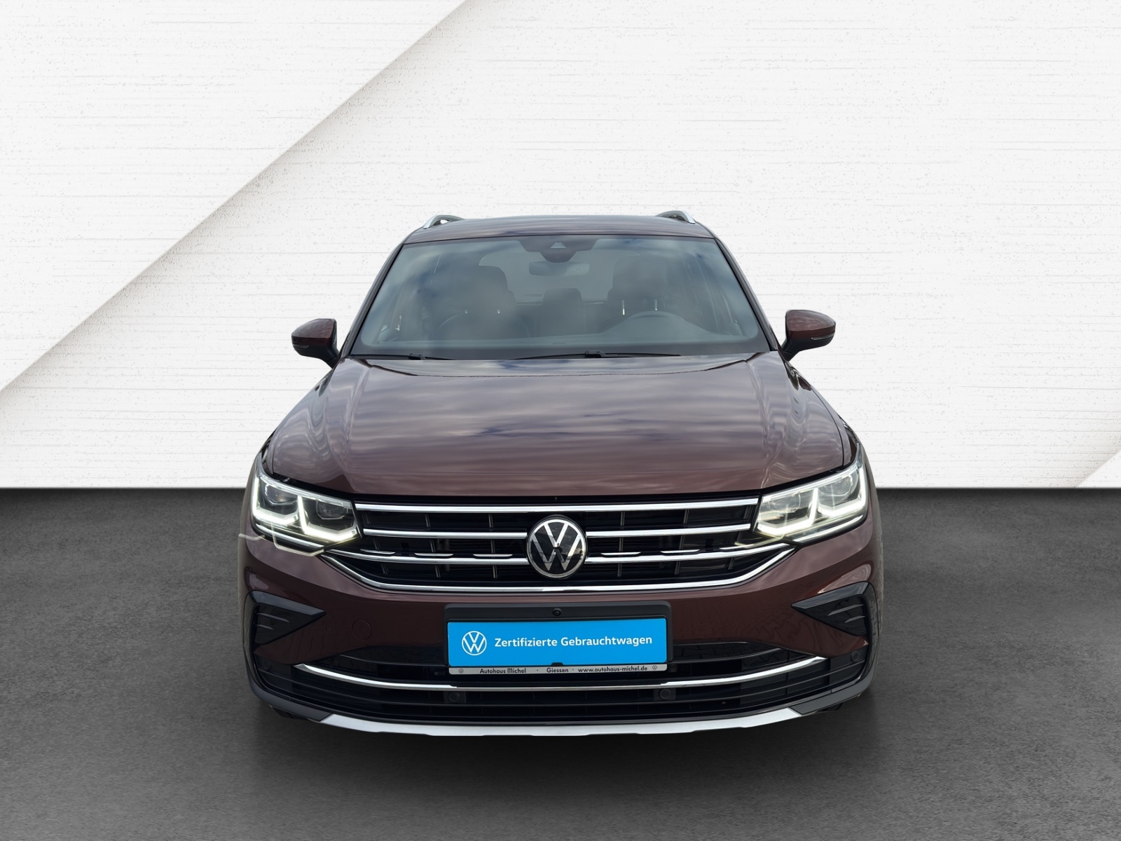Tiguan TSI DSG 4M Elegance IQ-Light Standheiz.AHK