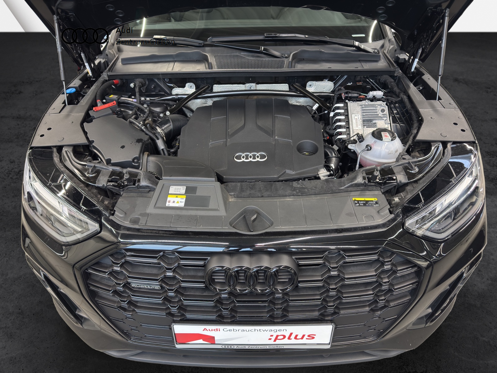 Q5 50 TDI quattro S line Black Navi LED