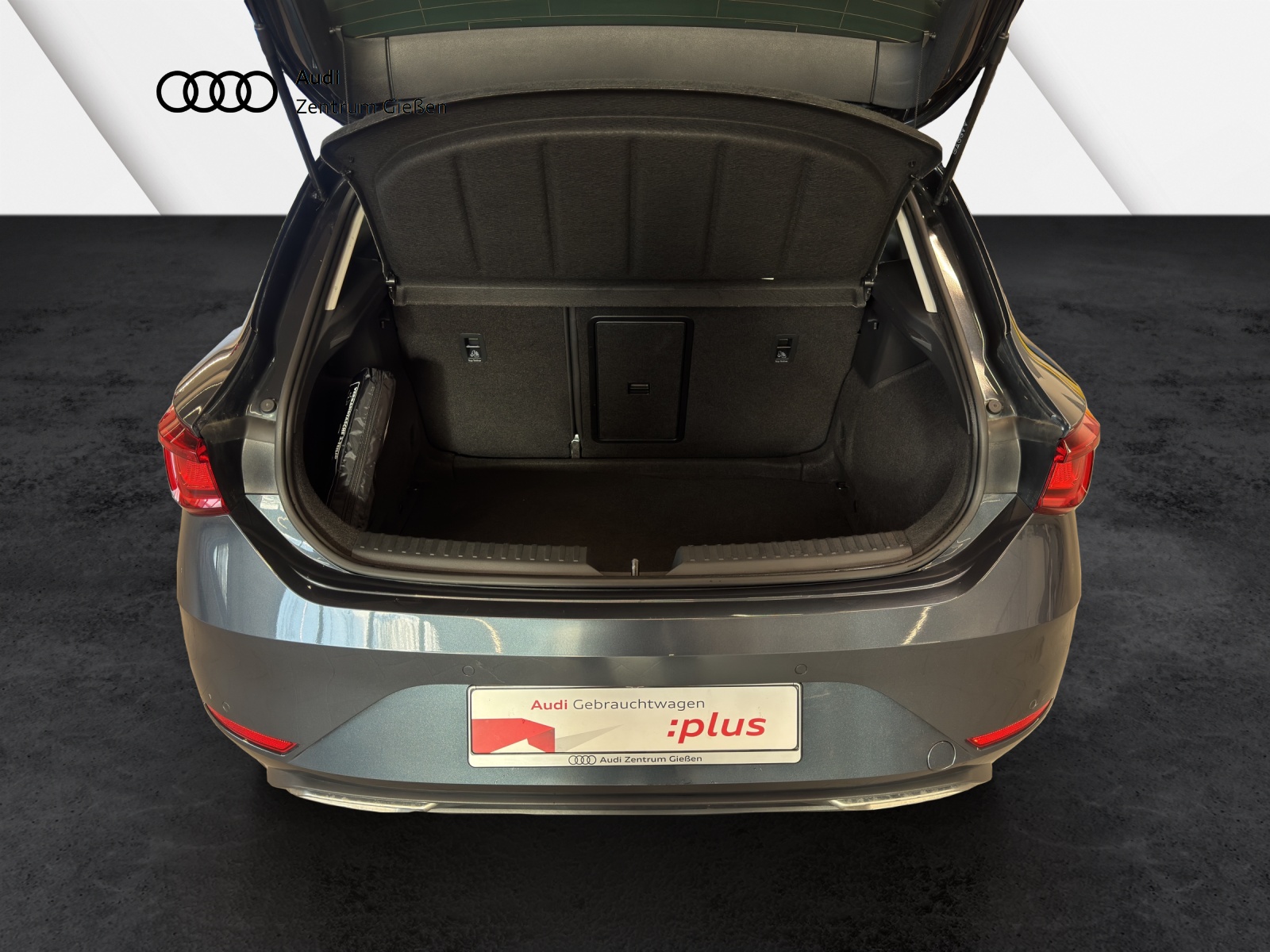 Leon 1.5 eTSI DSG FR Vision plus ACC Kamera Navi LED