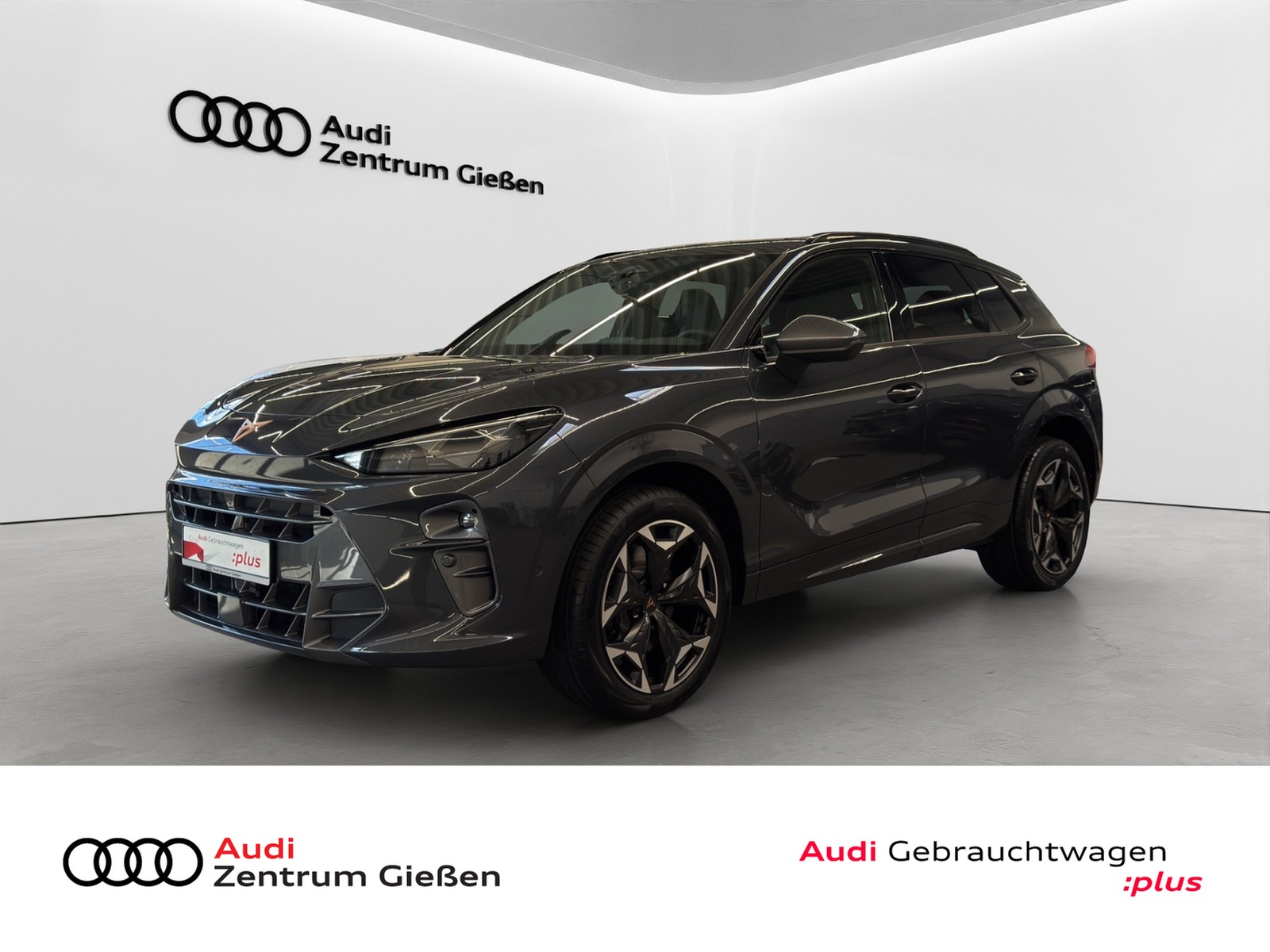 Terramar 2.0 TSI 4Drive VZ AHK Pano HuD Matrix Sennheis...