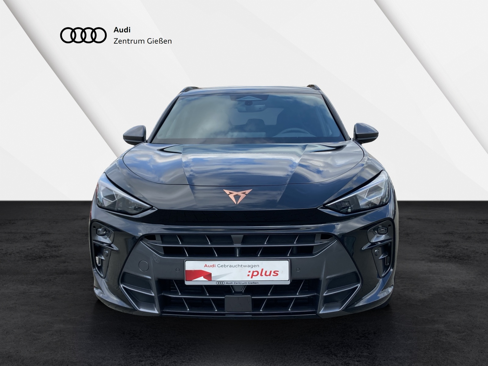 Terramar 2.0 TSI 4Drive VZ HuD Matrix Sennheiser