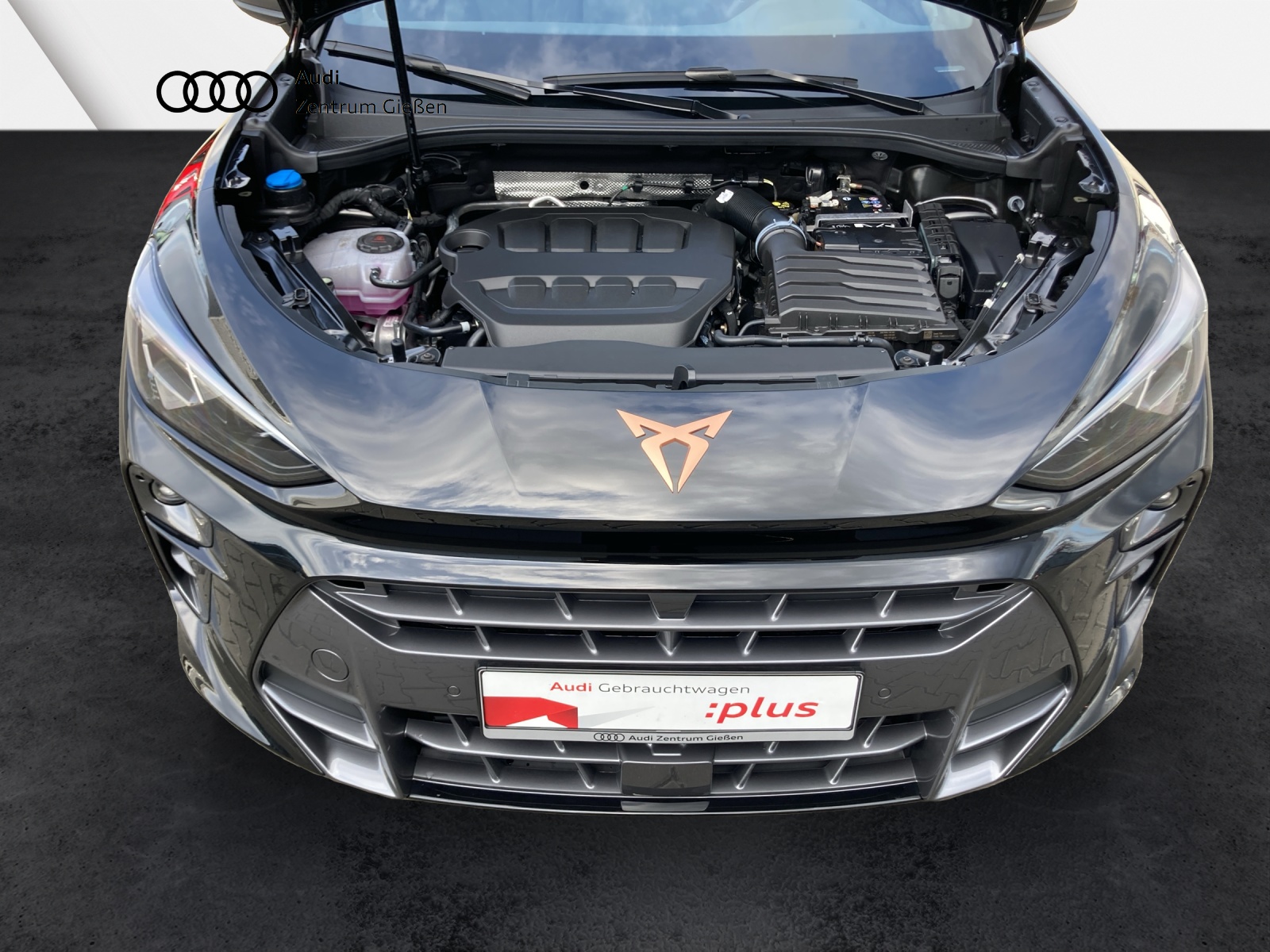 Terramar 2.0 TSI 4Drive VZ HuD Pano Sennheiser Navi