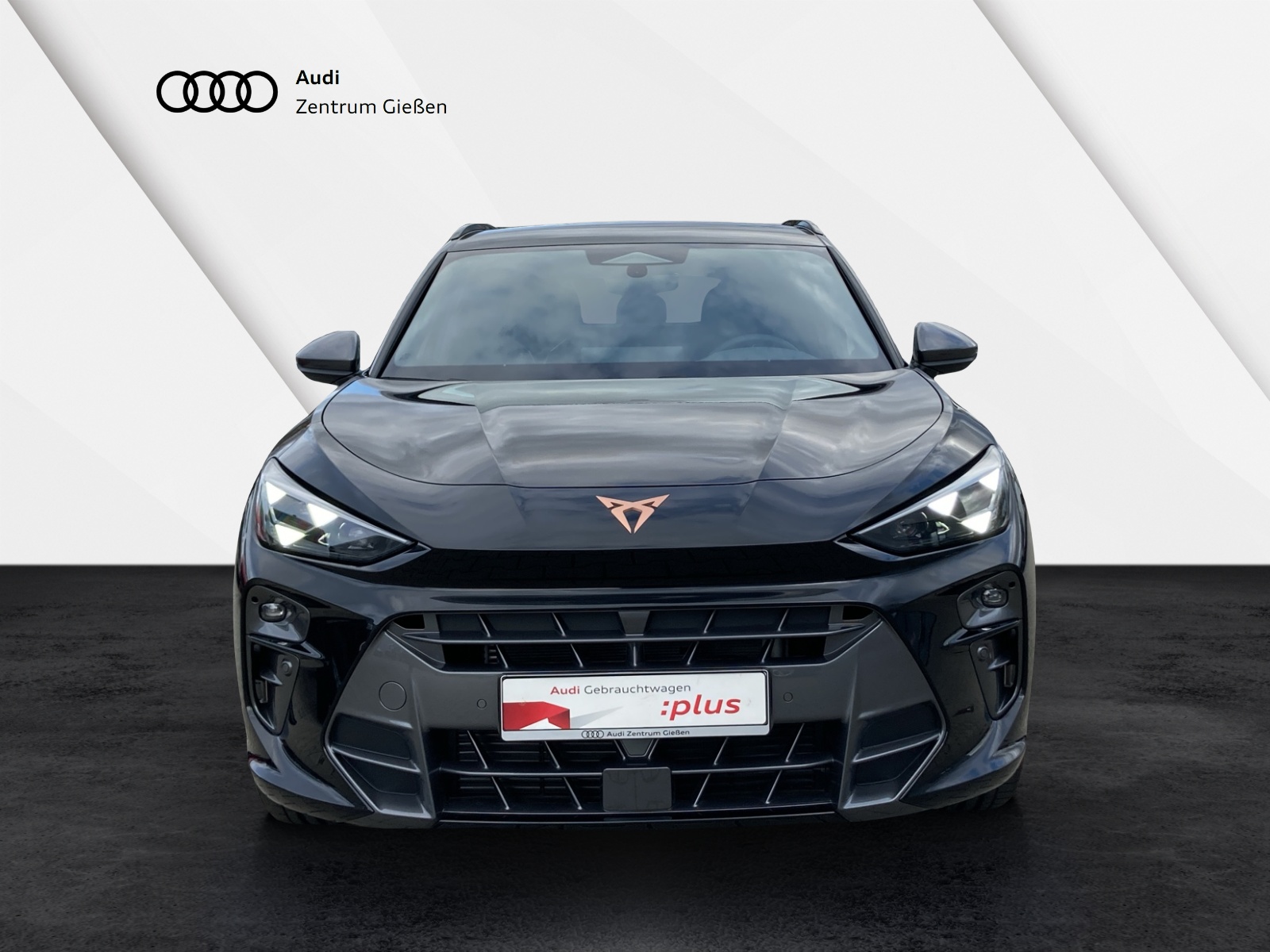 Terramar 2.0 TSI 4Drive VZ HuD Matrix Sennheiser