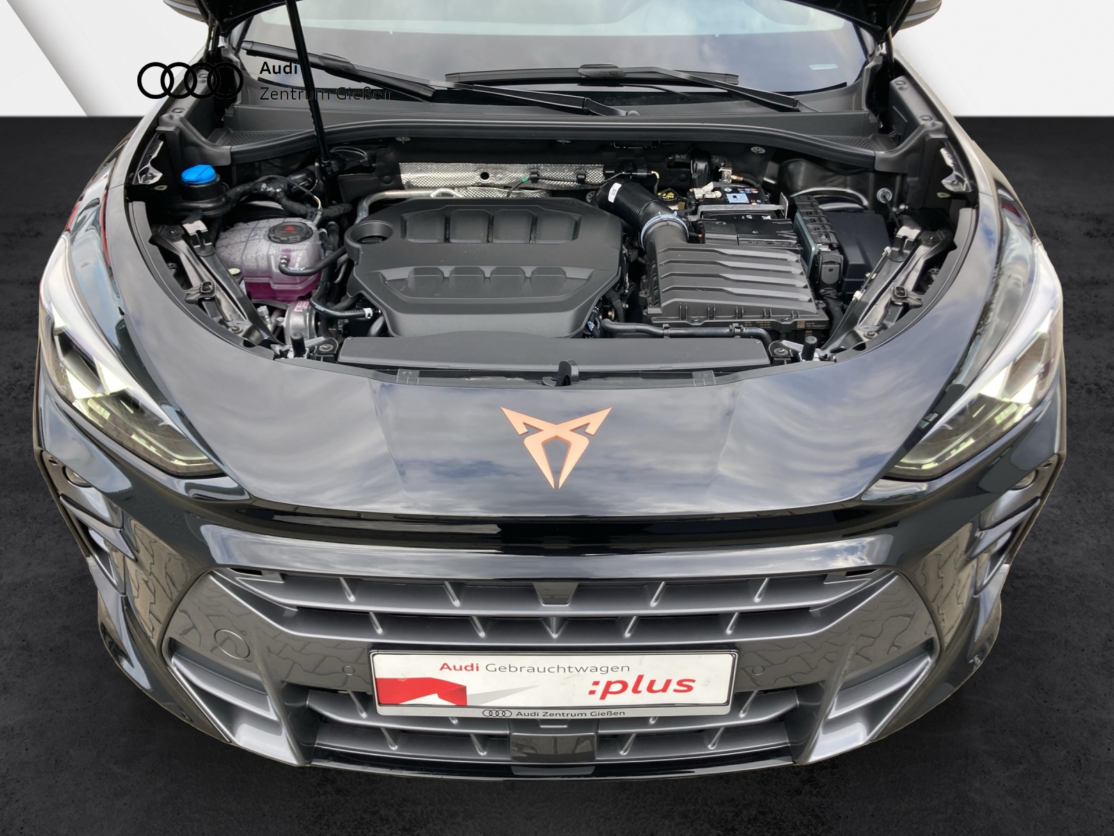 Terramar 2.0 TSI 4Drive VZ HuD Matrix Sennheiser