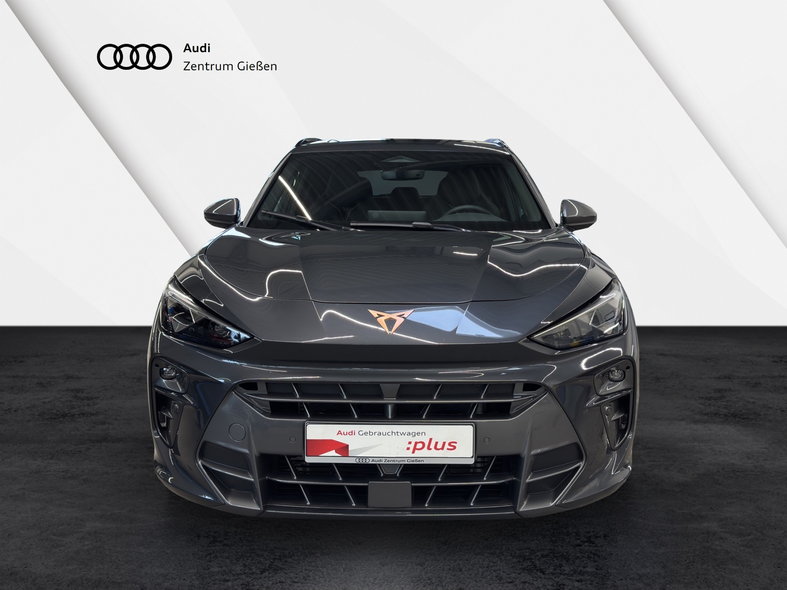 Terramar 2.0 TSI 4Drive VZ HuD PANO Sennheiser Matrix-LED