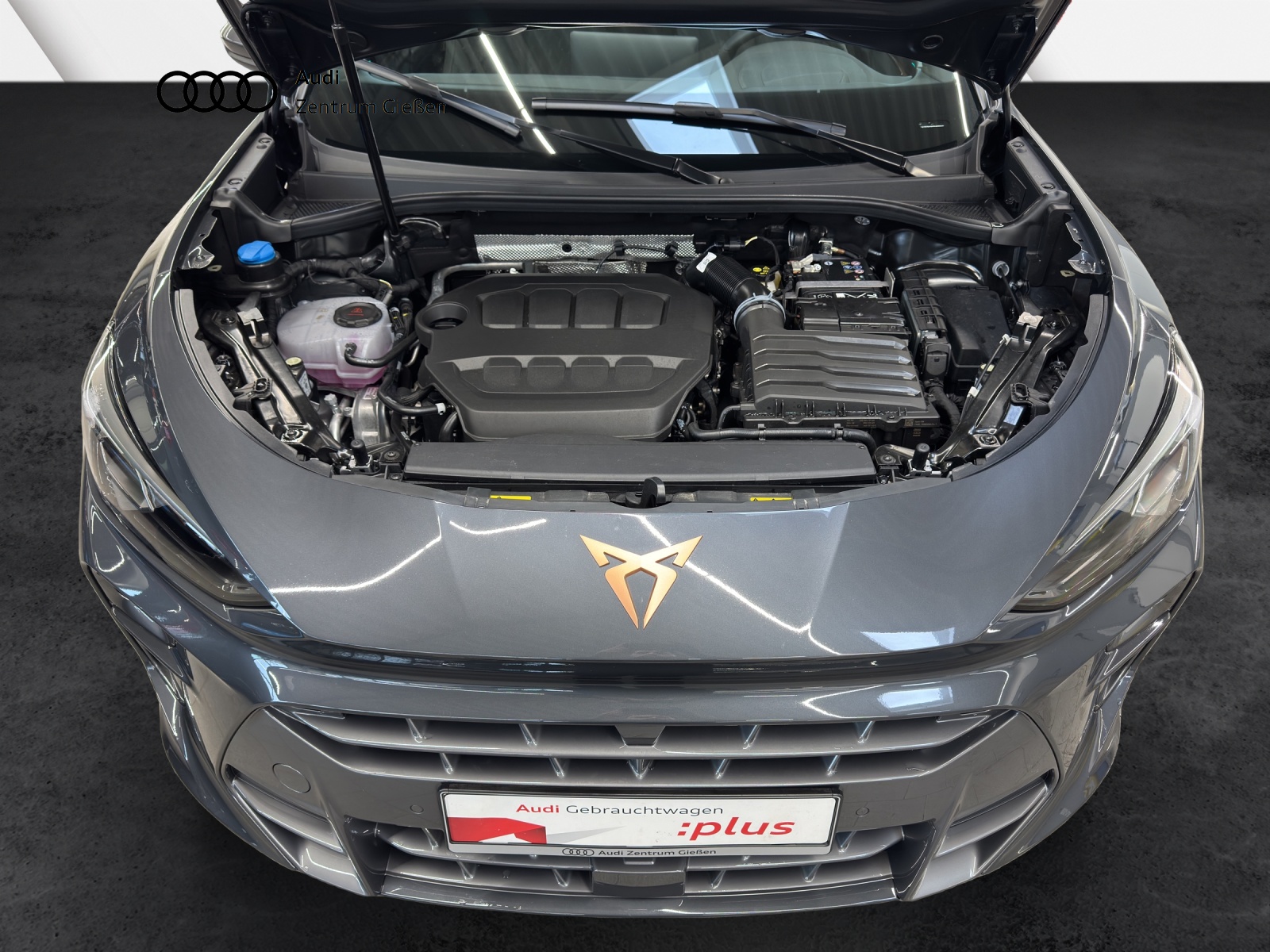 Terramar 2.0 TSI 4Drive VZ HuD PANO Sennheiser Matrix-LED