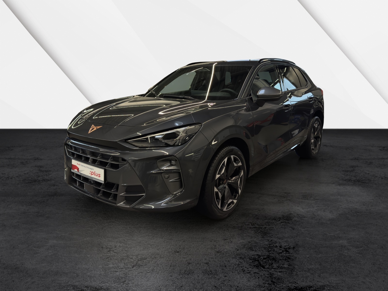 Terramar 2.0 TSI 4Drive VZ HuD PANO Sennheiser Matrix-LED