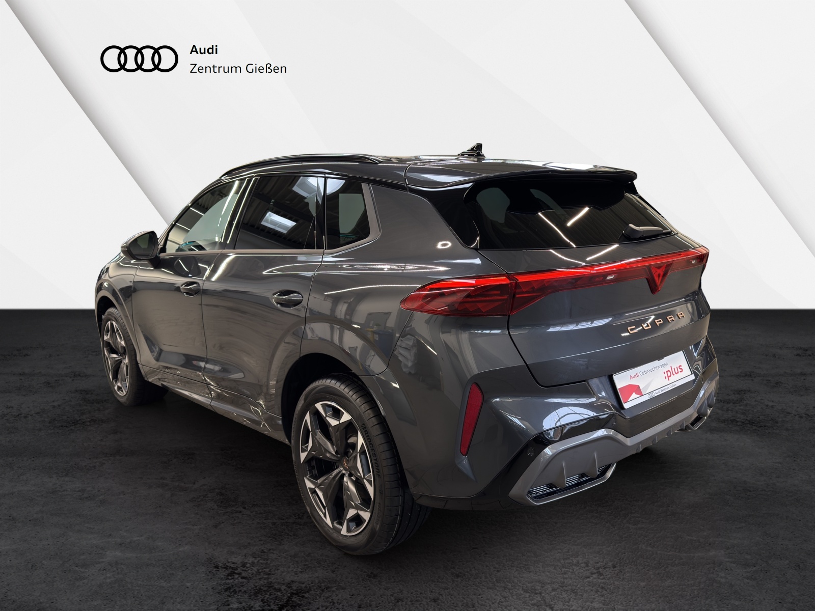 Terramar 2.0 TSI 4Drive VZ HuD PANO Sennheiser Matrix-LED