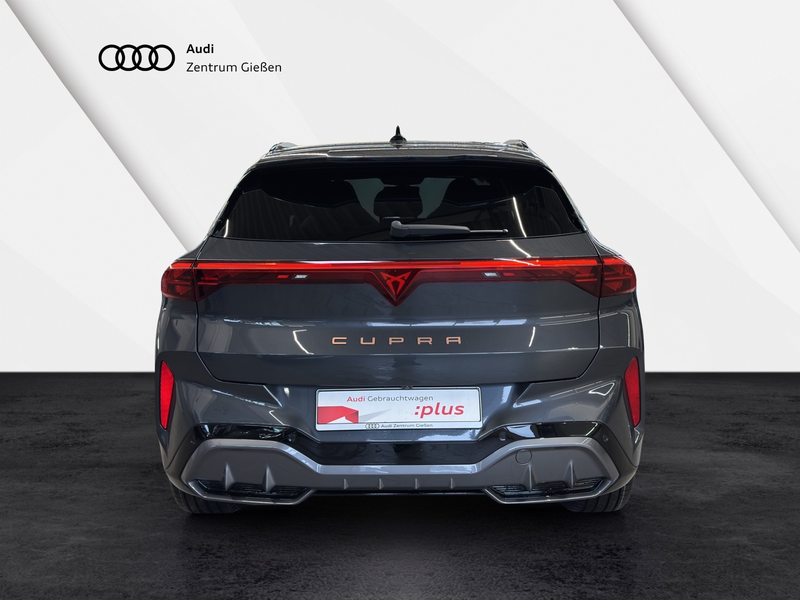 Terramar 2.0 TSI 4Drive VZ HuD PANO Sennheiser Matrix-LED