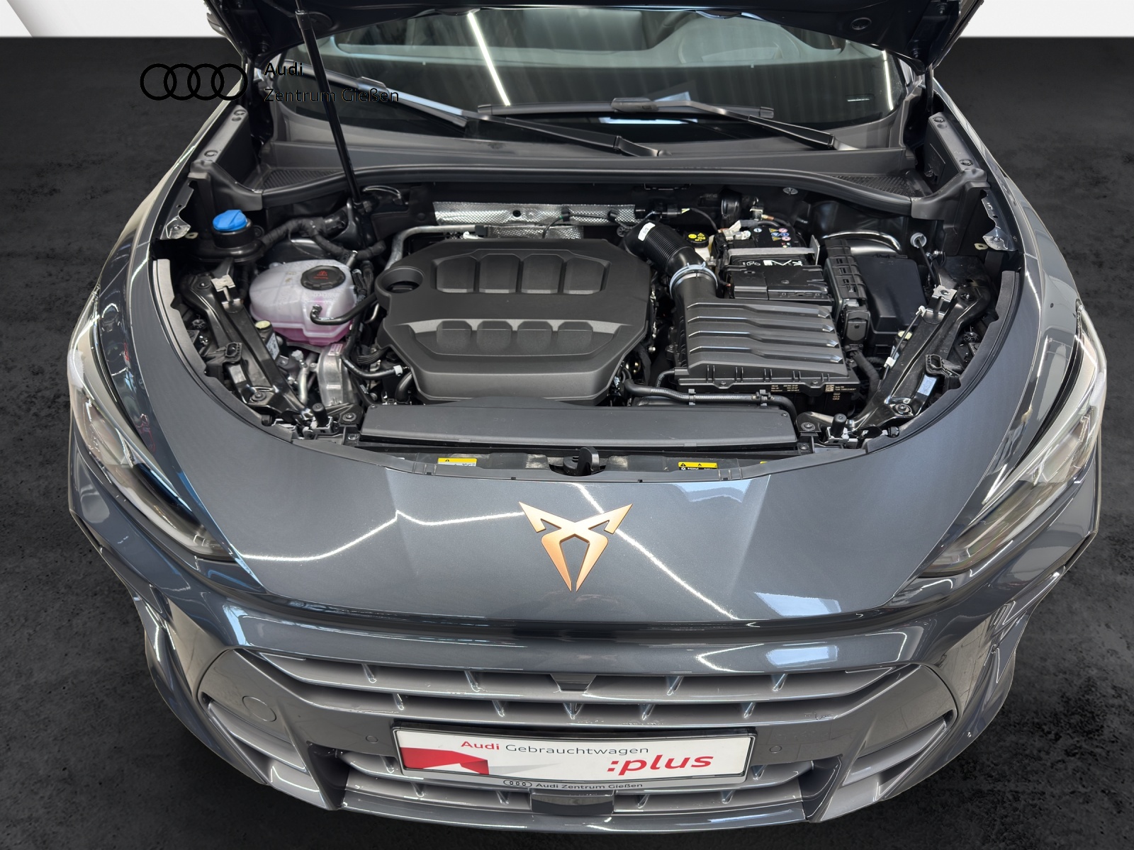 Terramar 2.0 TSI 4Drive VZ HuD PANO Sennheiser Matrix-LED