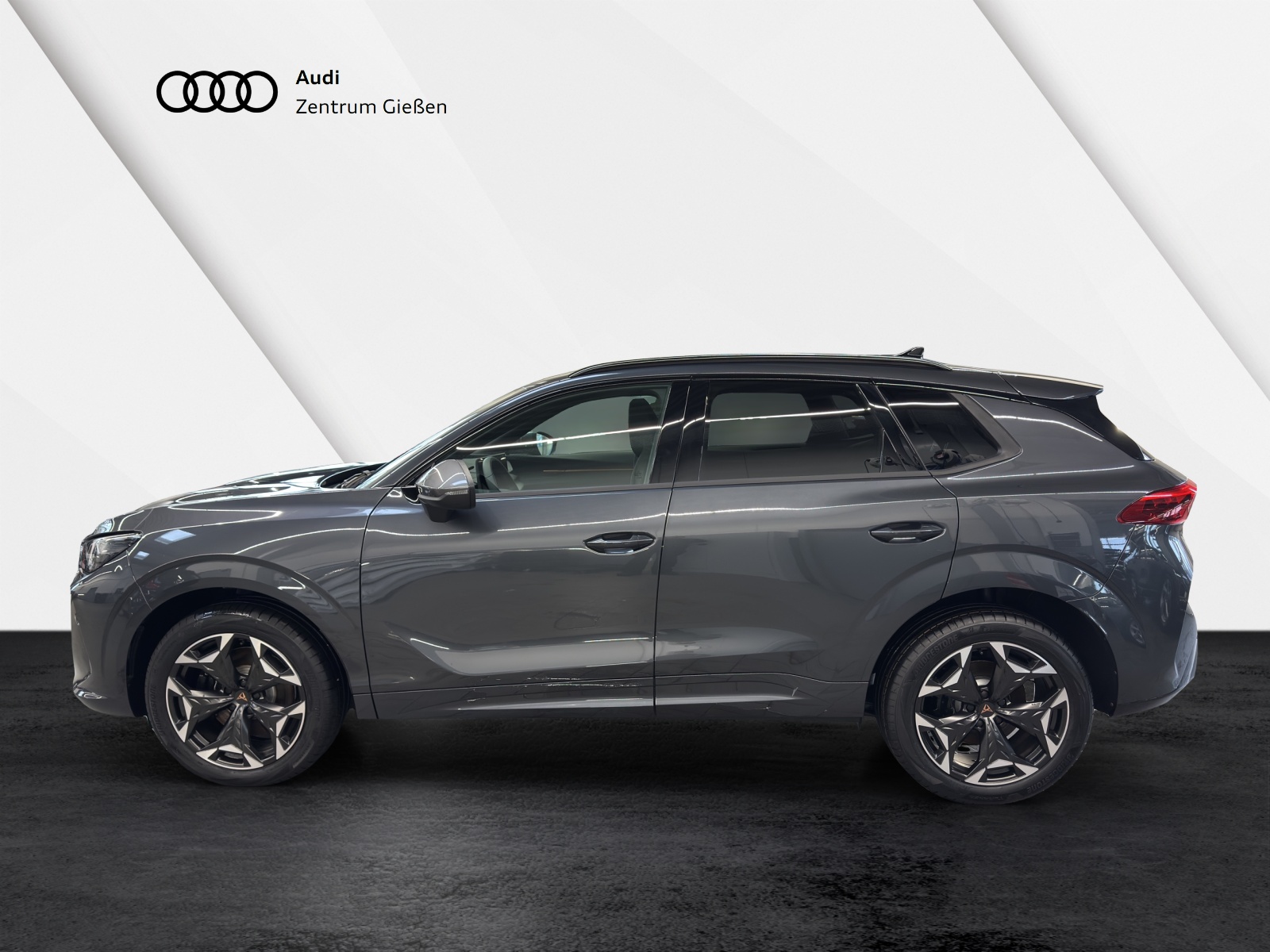 Terramar 2.0 TSI 4Drive VZ HuD PANO Sennheiser Matrix-LED