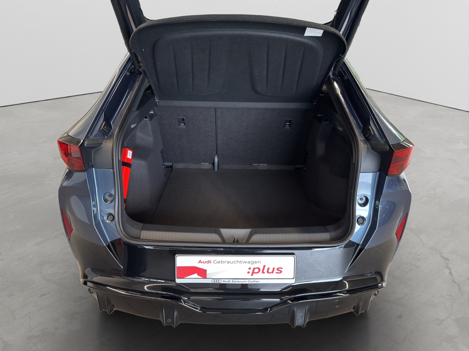 Tavascan 210 kW Endurance ACC Kamera Navi LED