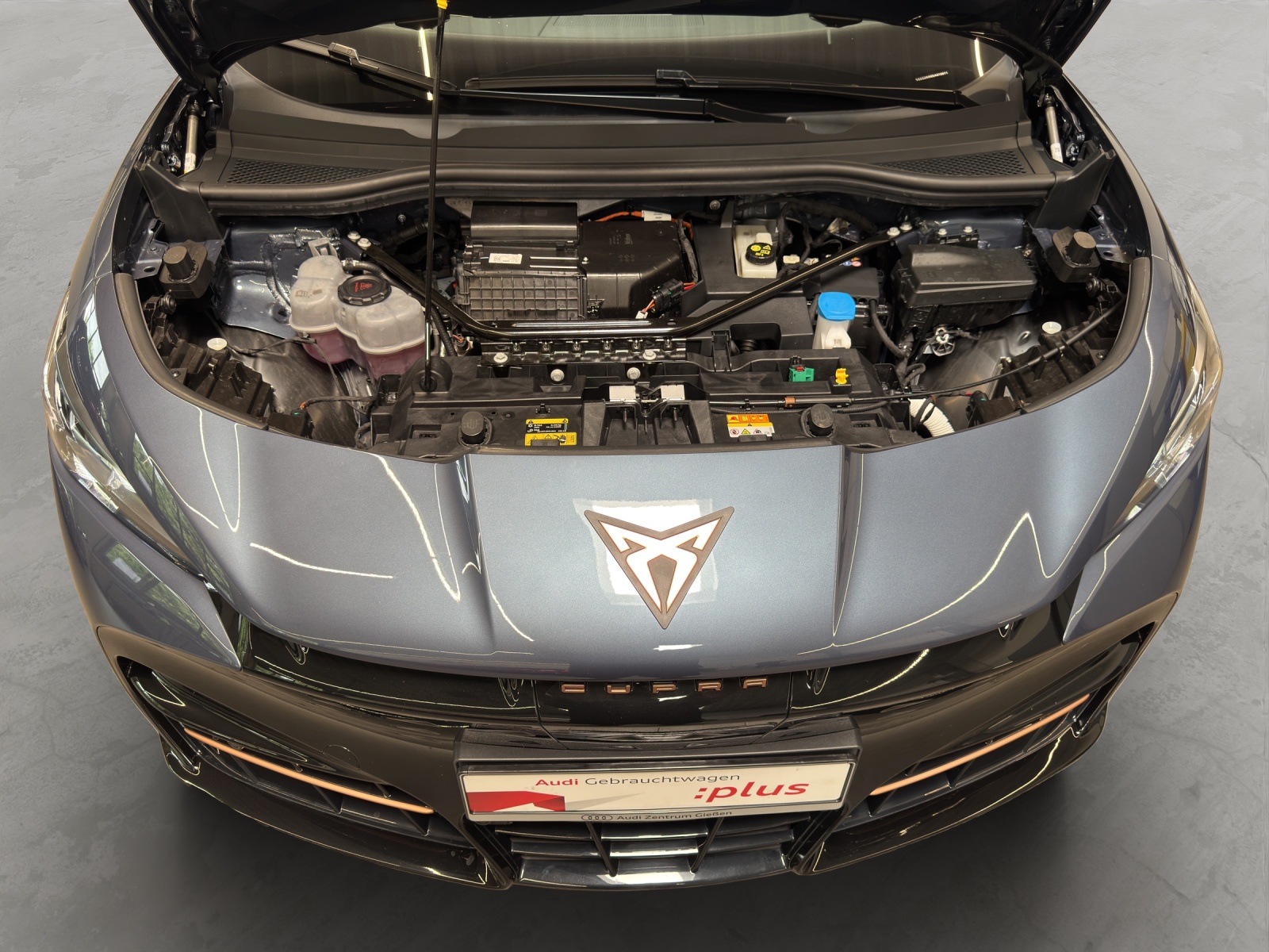 Tavascan 210 kW Endurance ACC Kamera Navi LED