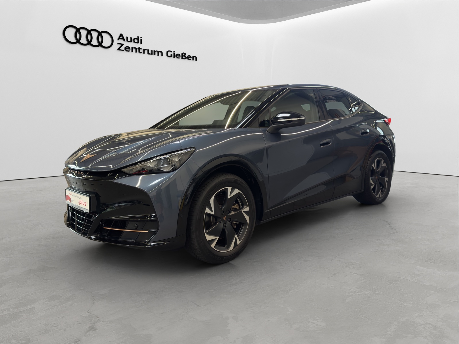 Tavascan 210 kW Endurance ACC Kamera Navi LED
