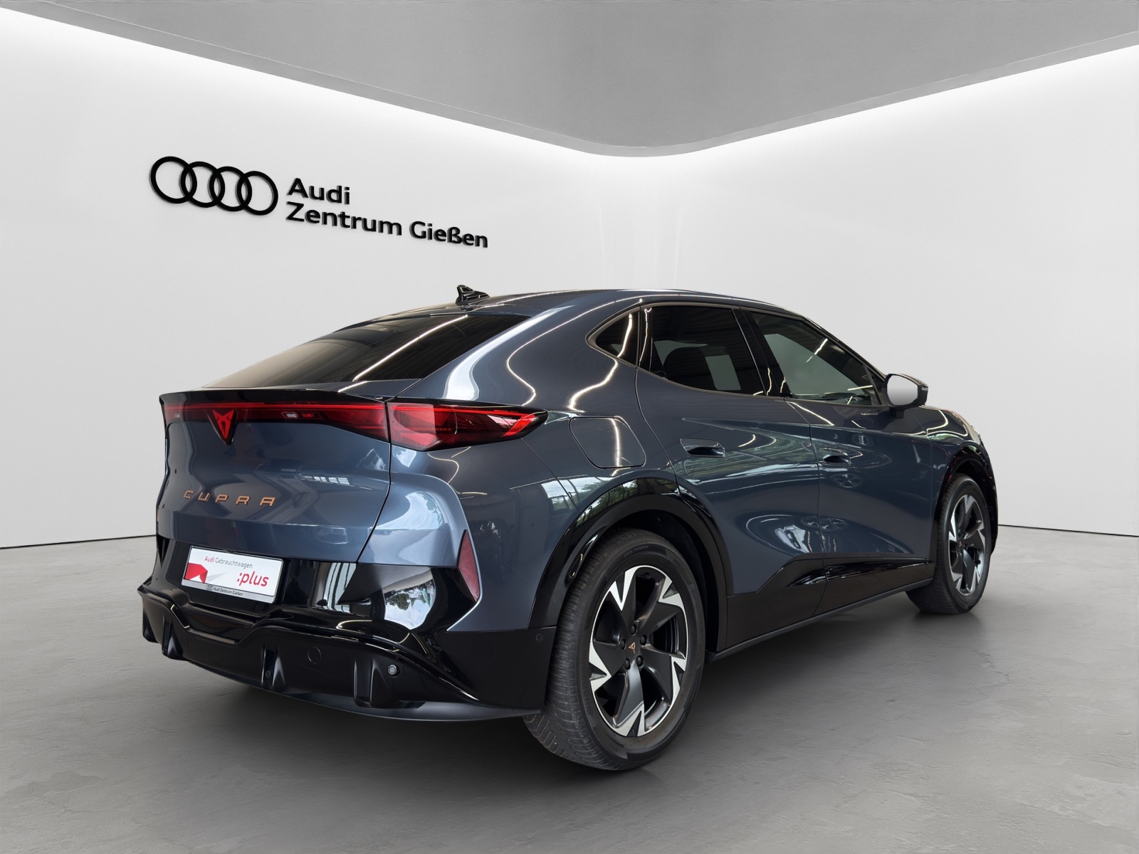 Tavascan 210 kW Endurance ACC Kamera Navi LED