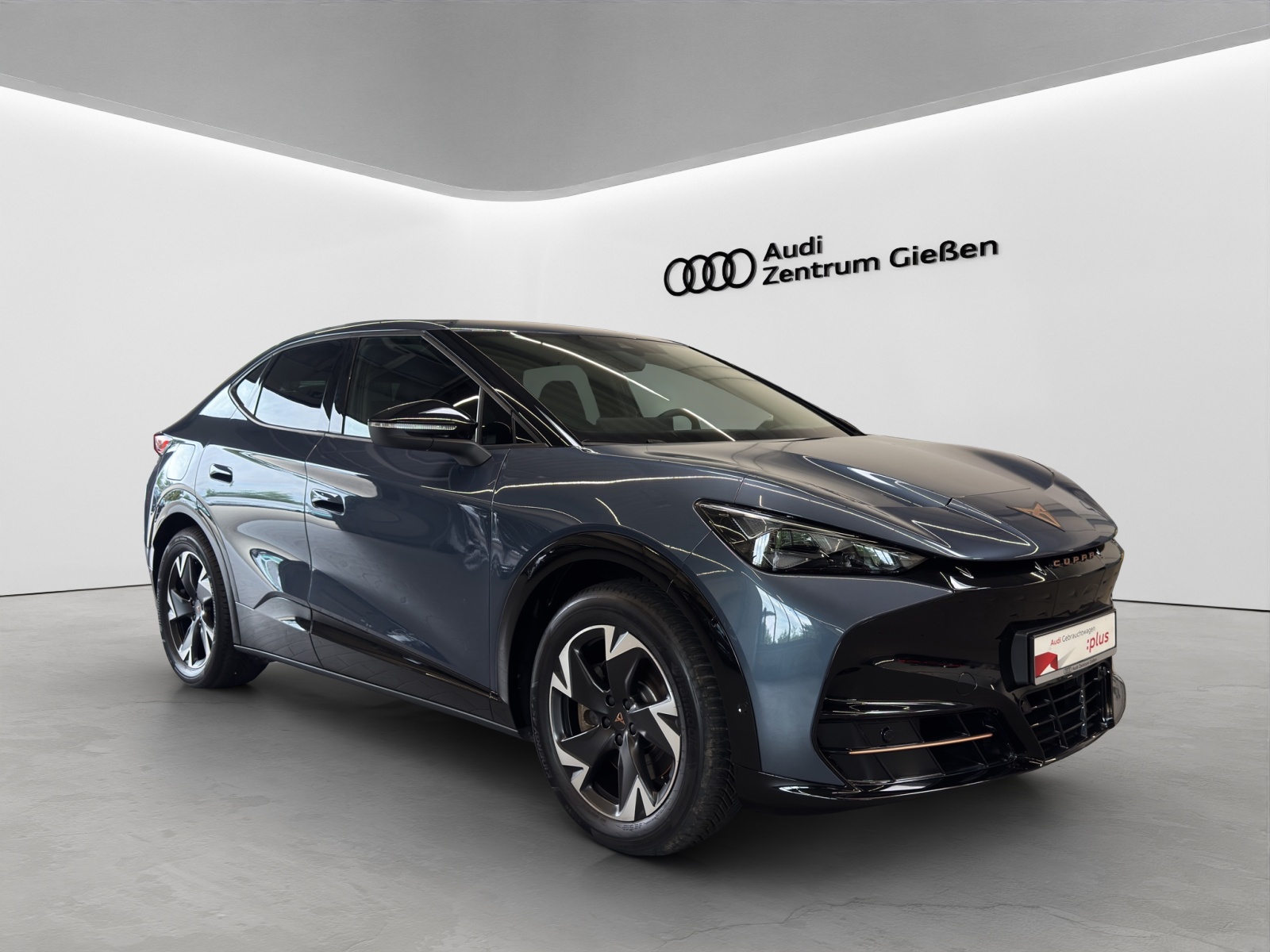 Tavascan 210 kW Endurance ACC Kamera Navi LED