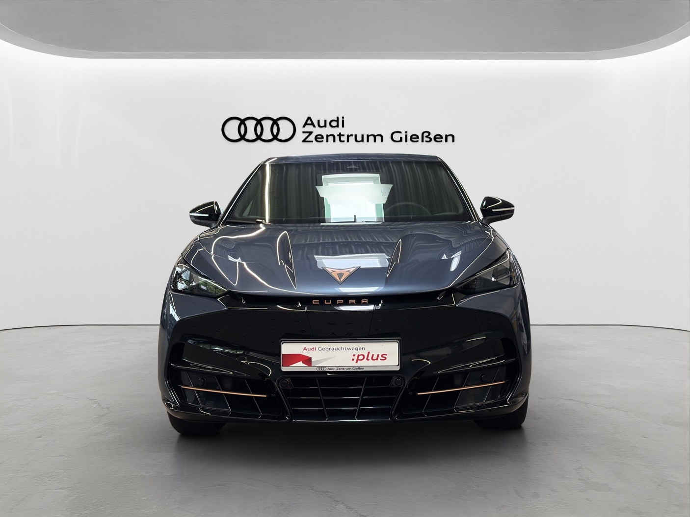 Tavascan 210 kW Endurance ACC Kamera Navi LED