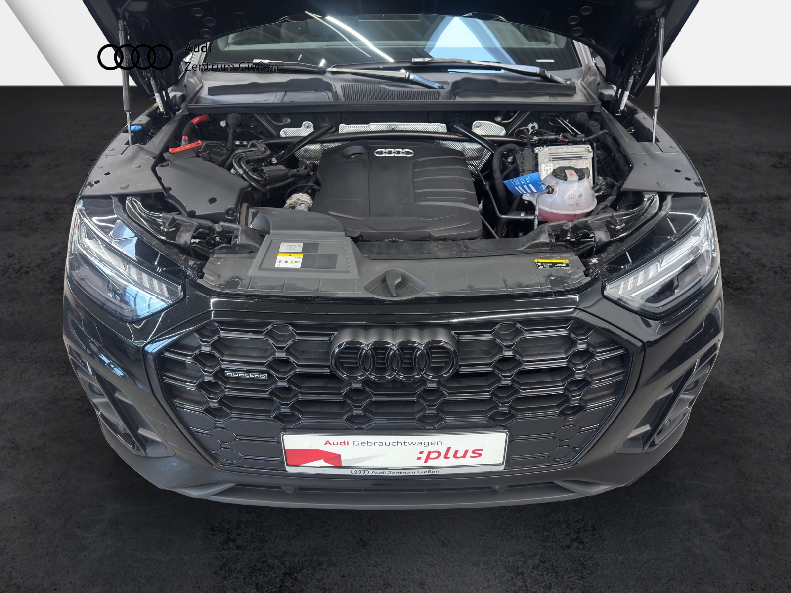 Q5 40 TDI quattro S line Black AHK Matrix-LED Kamera Navi