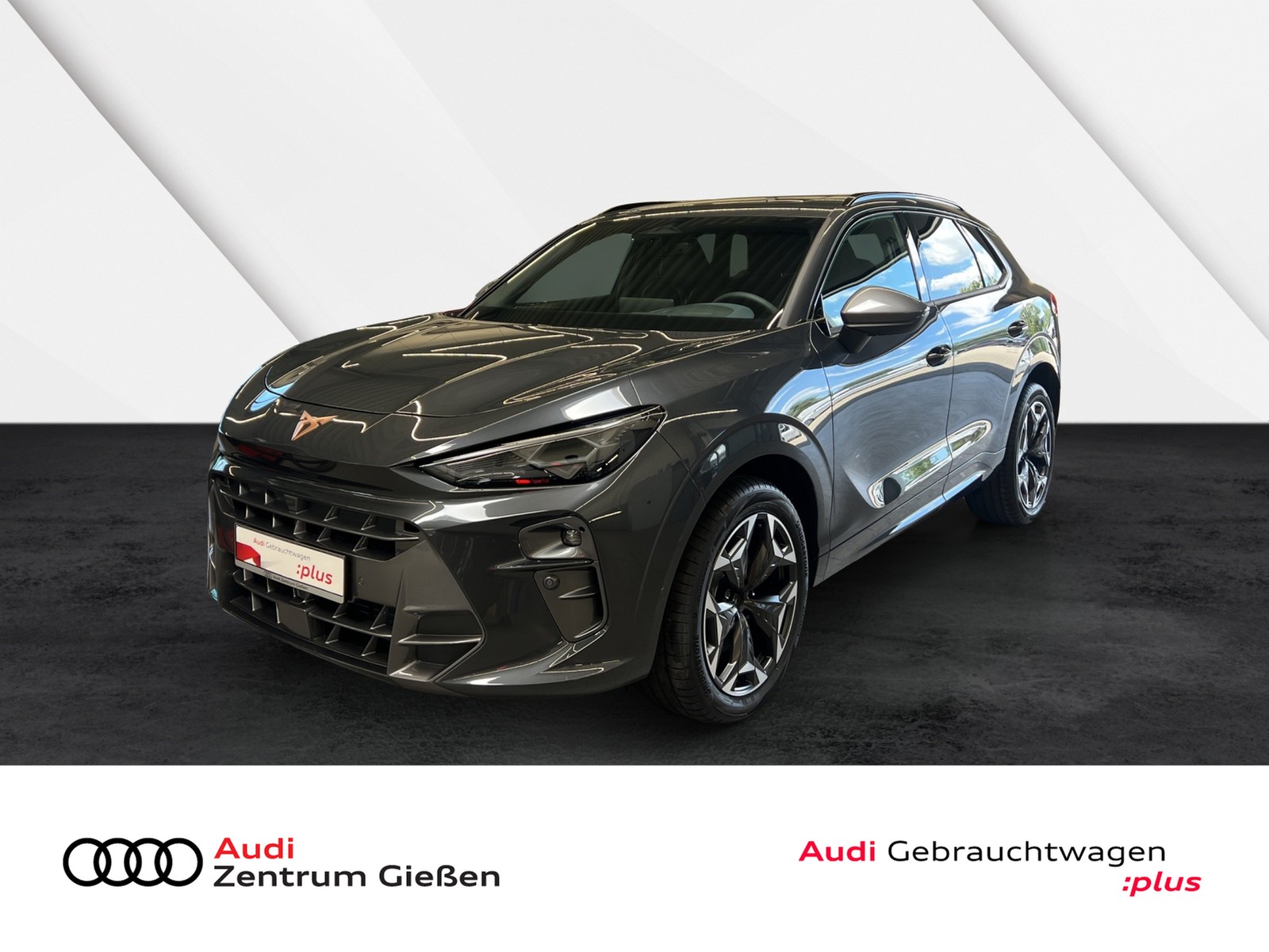 Terramar 2.0 TSI 4Drive VZ AHK HUD PANO ACC Navi