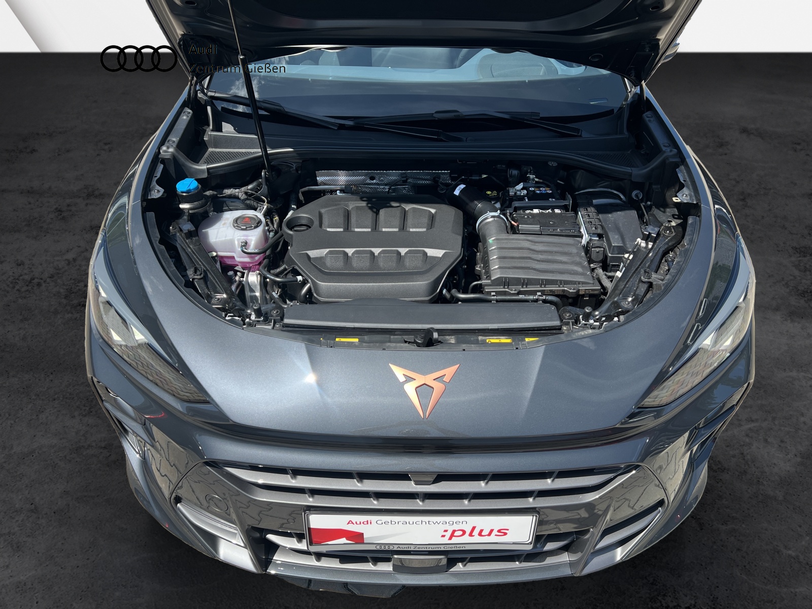 Terramar 2.0 TSI 4Drive VZ AHK HUD PANO ACC Navi