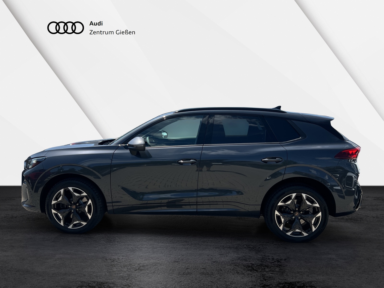 Terramar 2.0 TSI 4Drive VZ AHK HUD PANO ACC Navi
