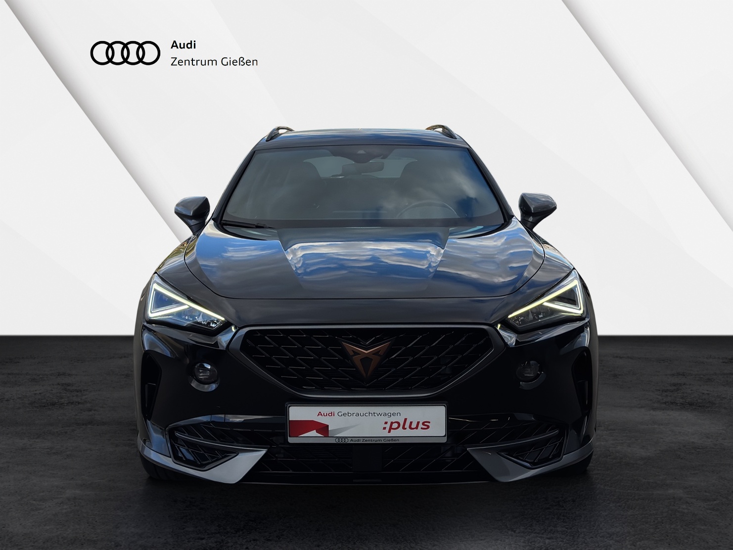 Formentor 1.5 TSI DSG Leder Navi LED ACC