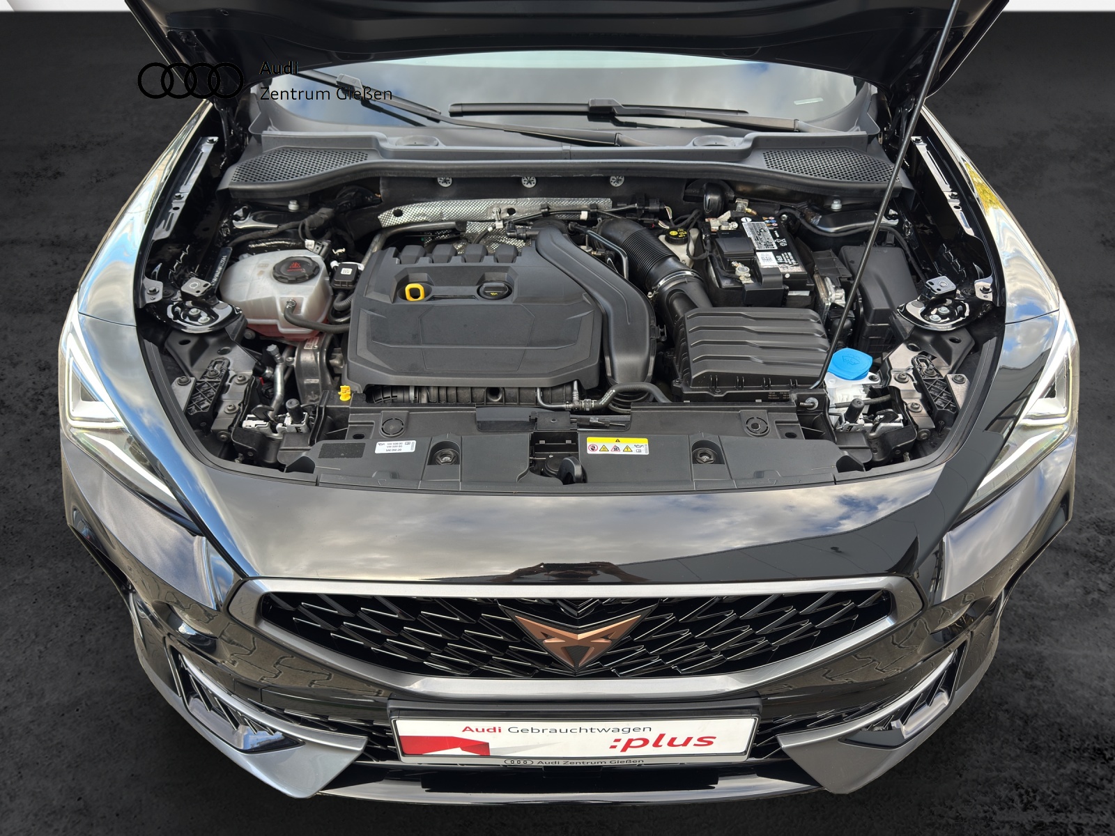 Formentor 1.5 TSI DSG Leder Navi LED ACC