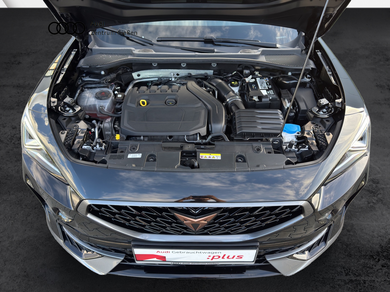 Formentor 1.5 TSI DSG ACC LED Navi Kamera