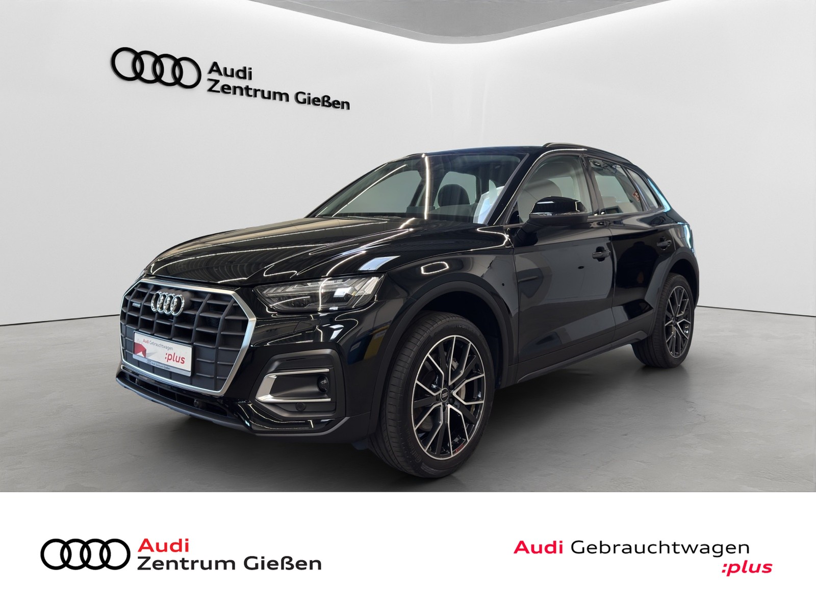 Q5 50 TFSI e quattro AHK Matrix-LED Kamera Navi