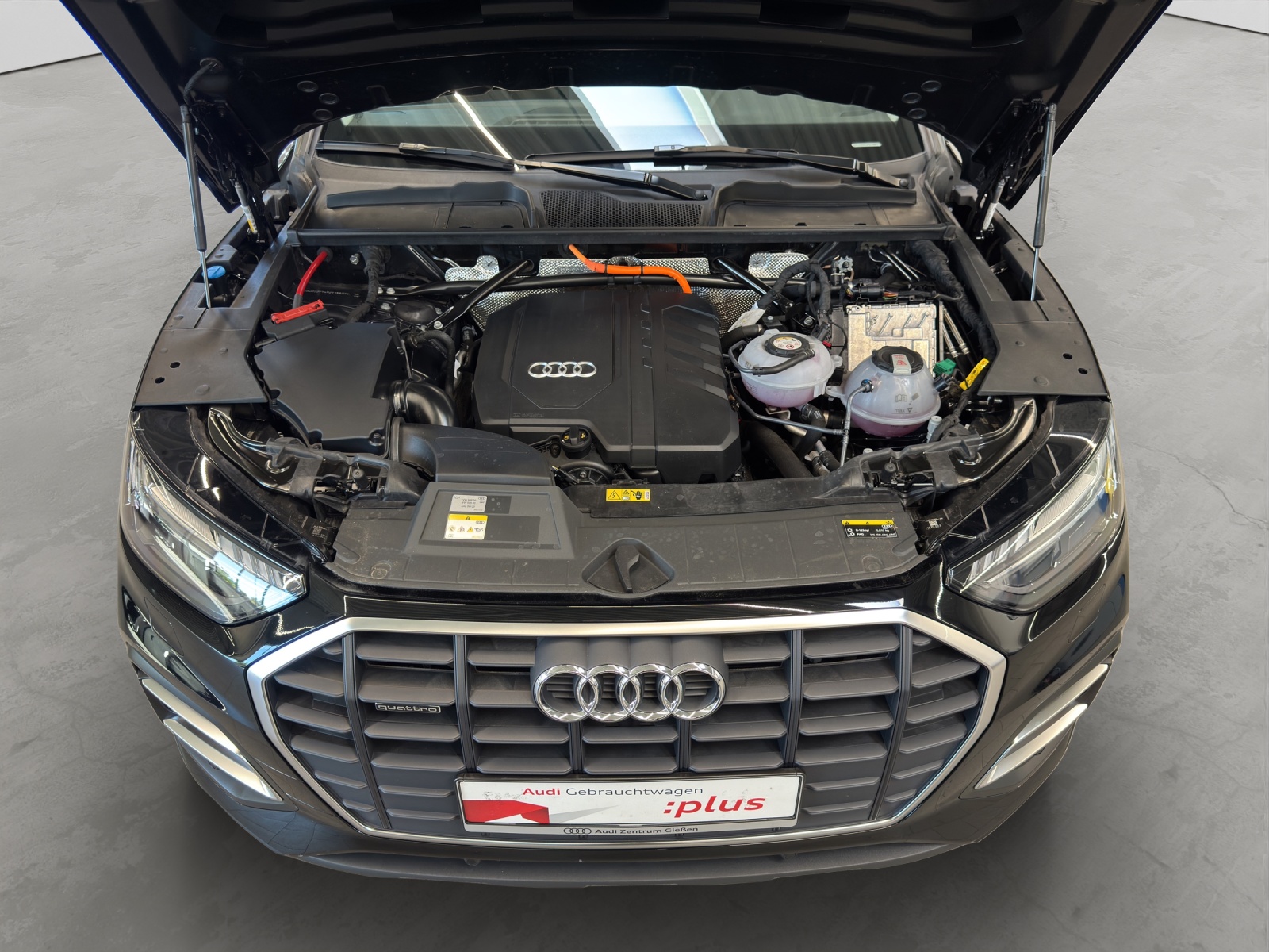Q5 50 TFSI e quattro AHK Matrix-LED Kamera Navi