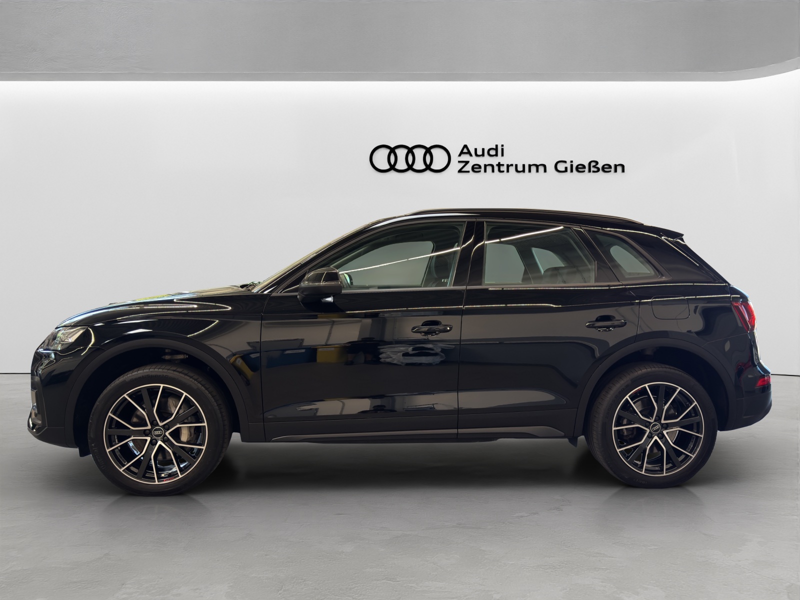Q5 50 TFSI e quattro AHK Matrix-LED Kamera Navi
