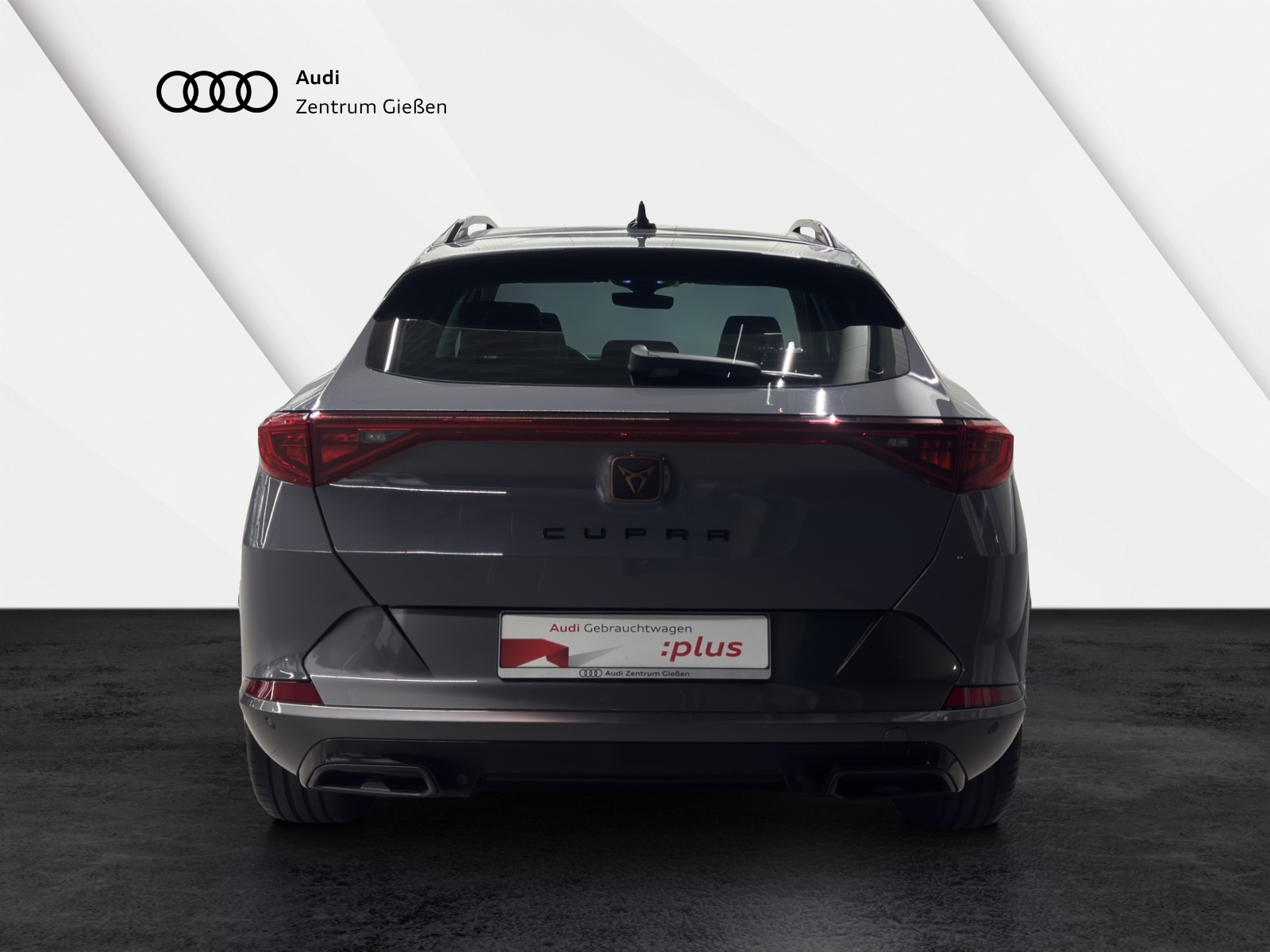 Formentor 1.5 TSI Basis LED ACC Parklenkassistent Ambientebeleuchtung