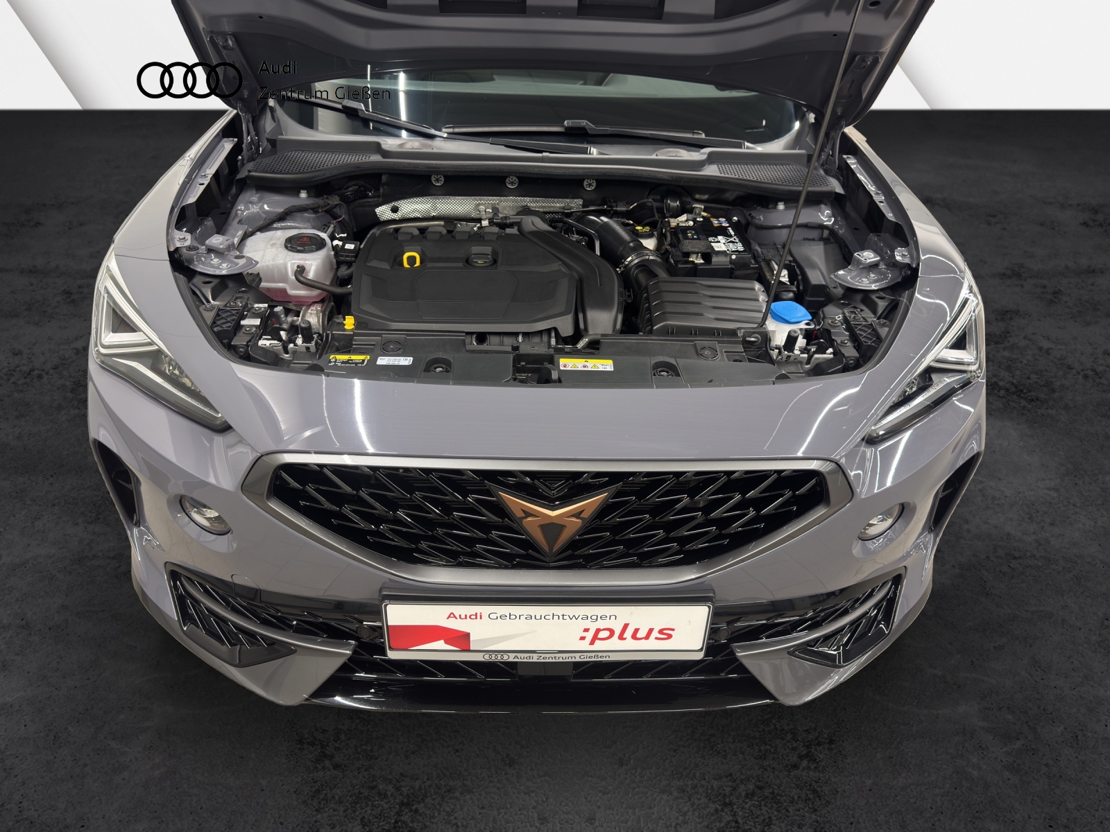 Formentor 1.5 TSI Basis LED ACC Parklenkassistent Ambientebeleuchtung