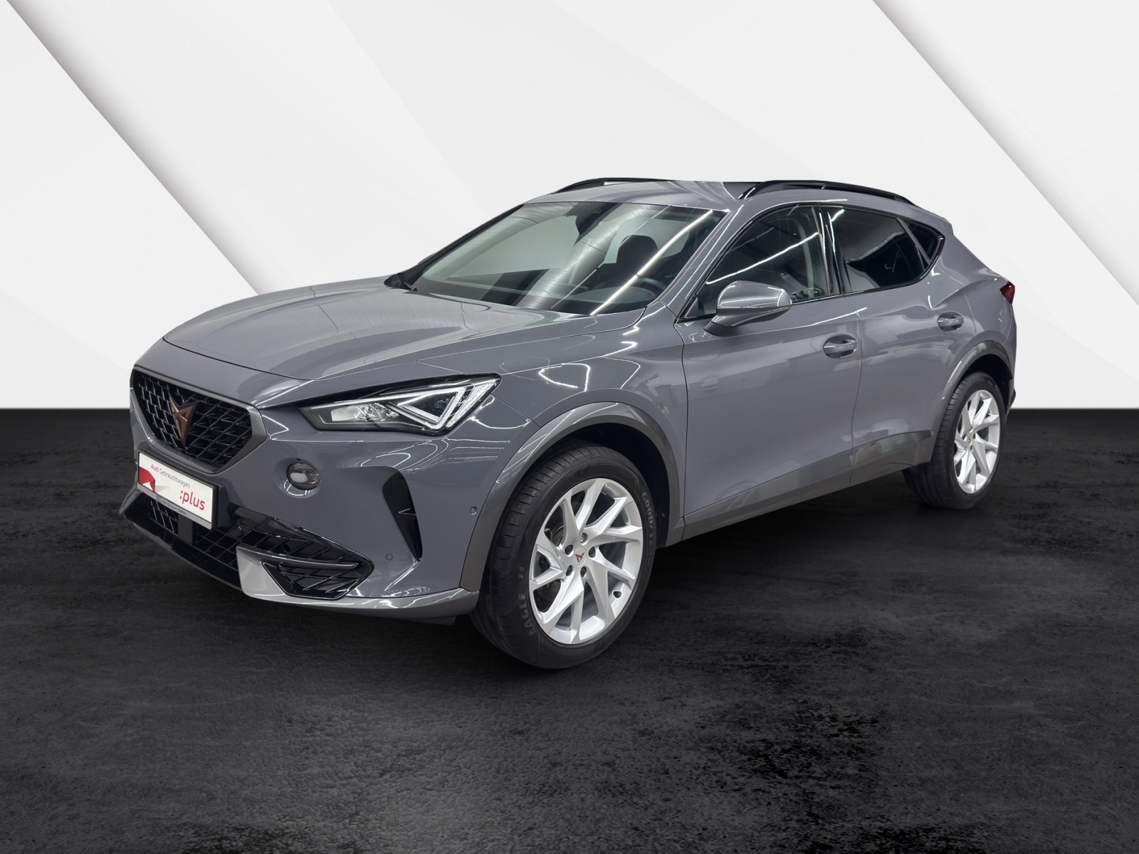 Formentor 1.5 TSI Basis LED ACC Parklenkassistent Ambientebeleuchtung