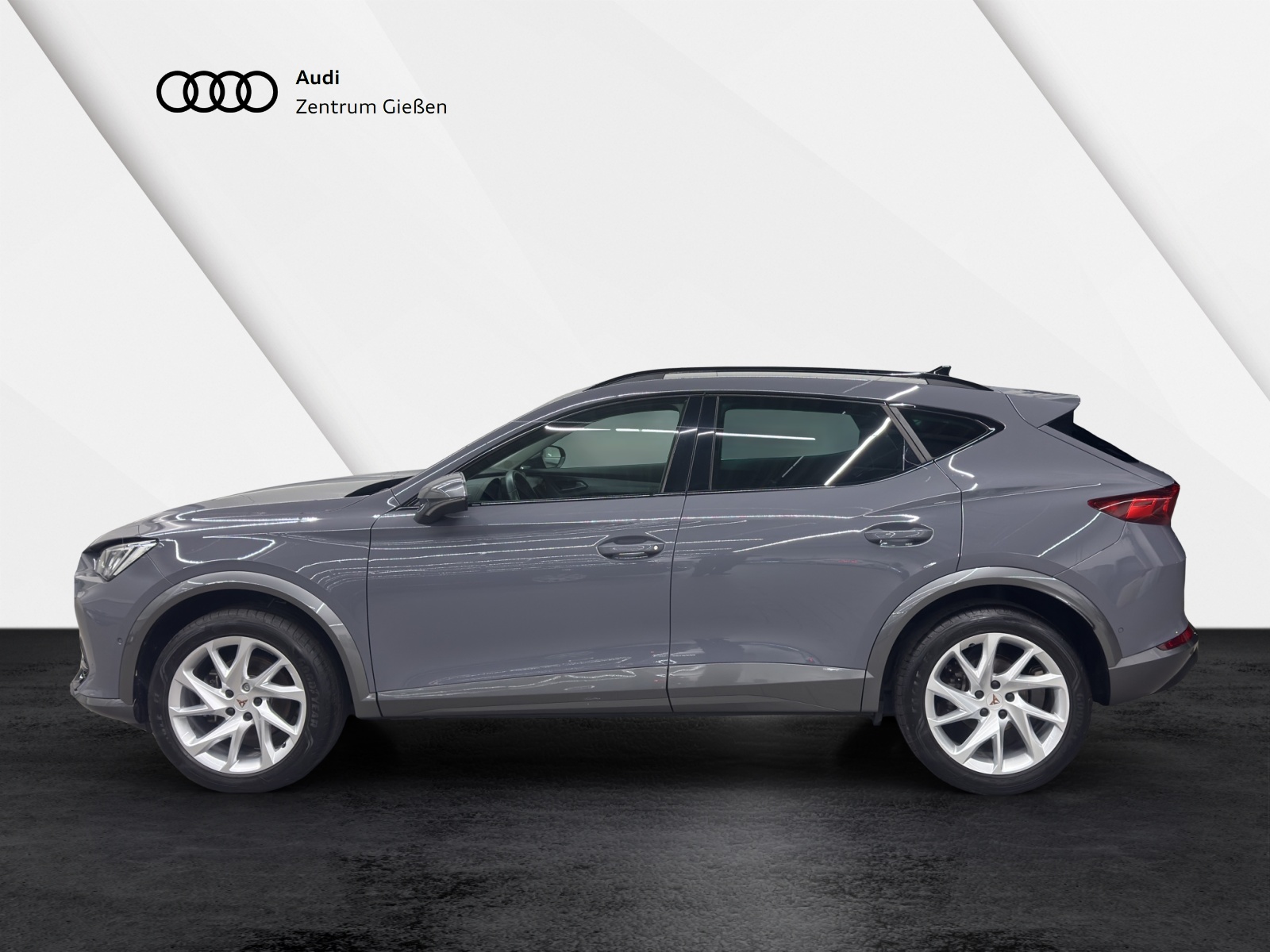 Formentor 1.5 TSI Basis LED ACC Parklenkassistent Ambientebeleuchtung