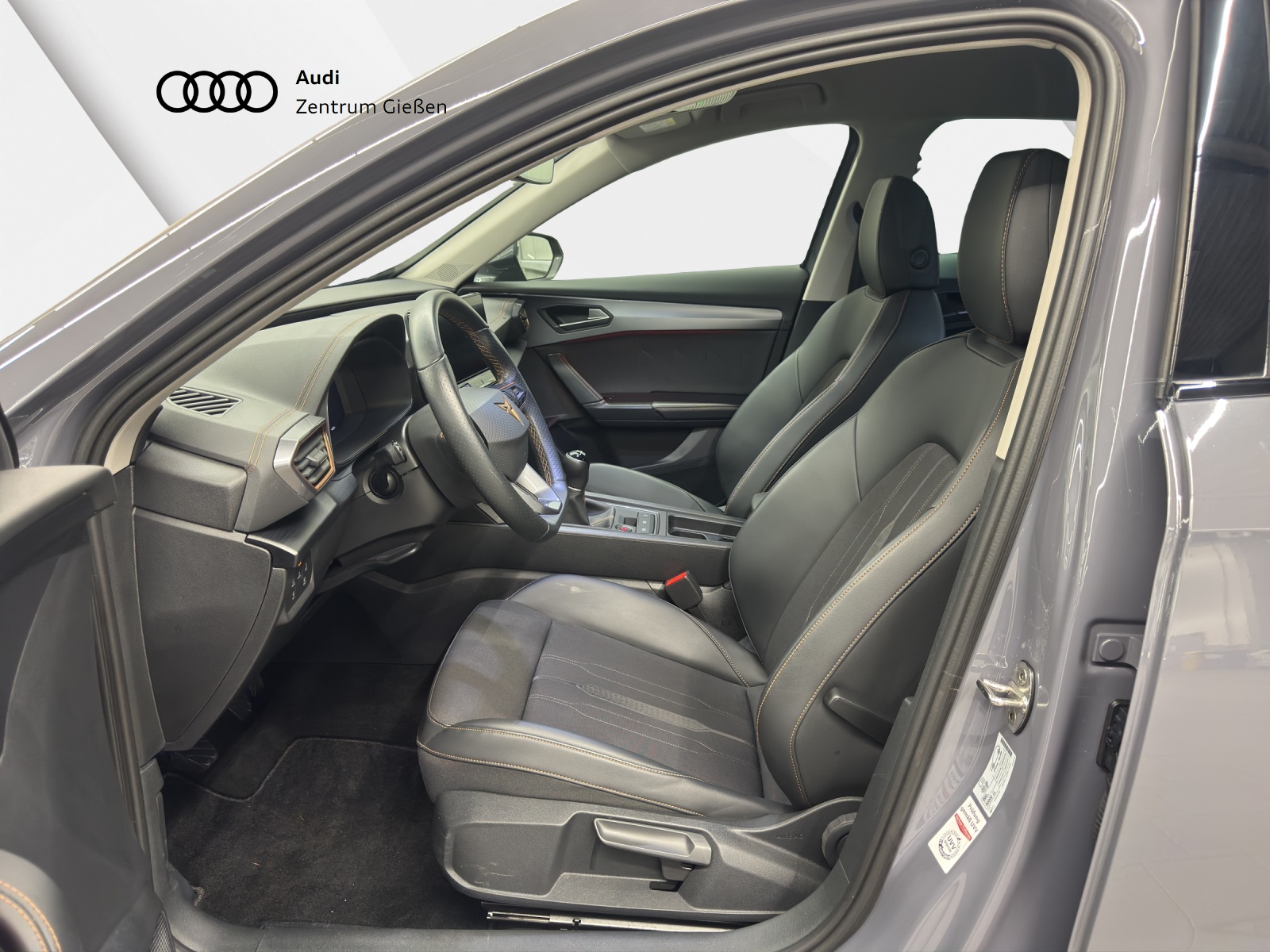 Formentor 1.5 TSI Basis LED ACC Parklenkassistent Ambientebeleuchtung